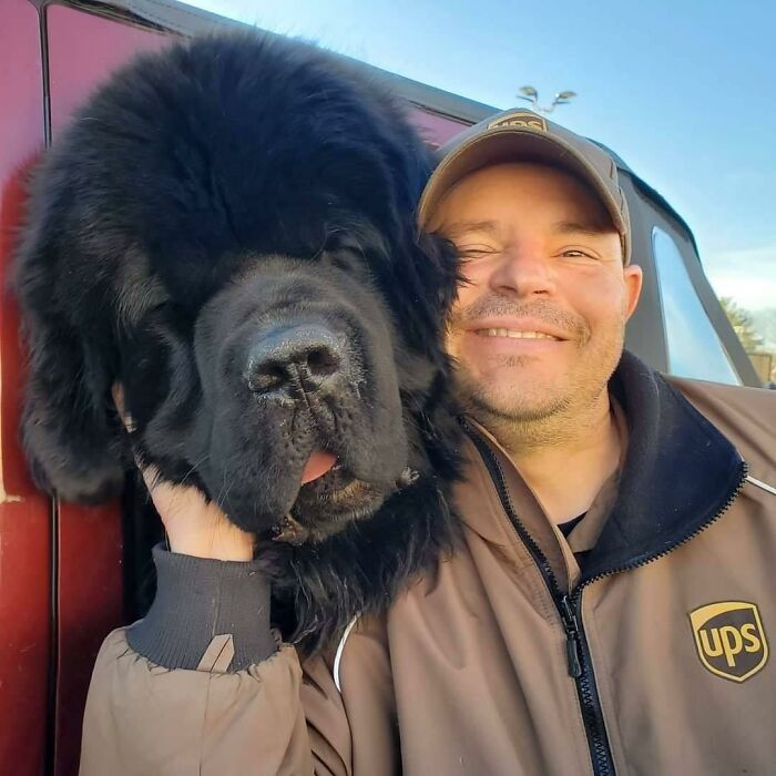 Newfoundland Dog People