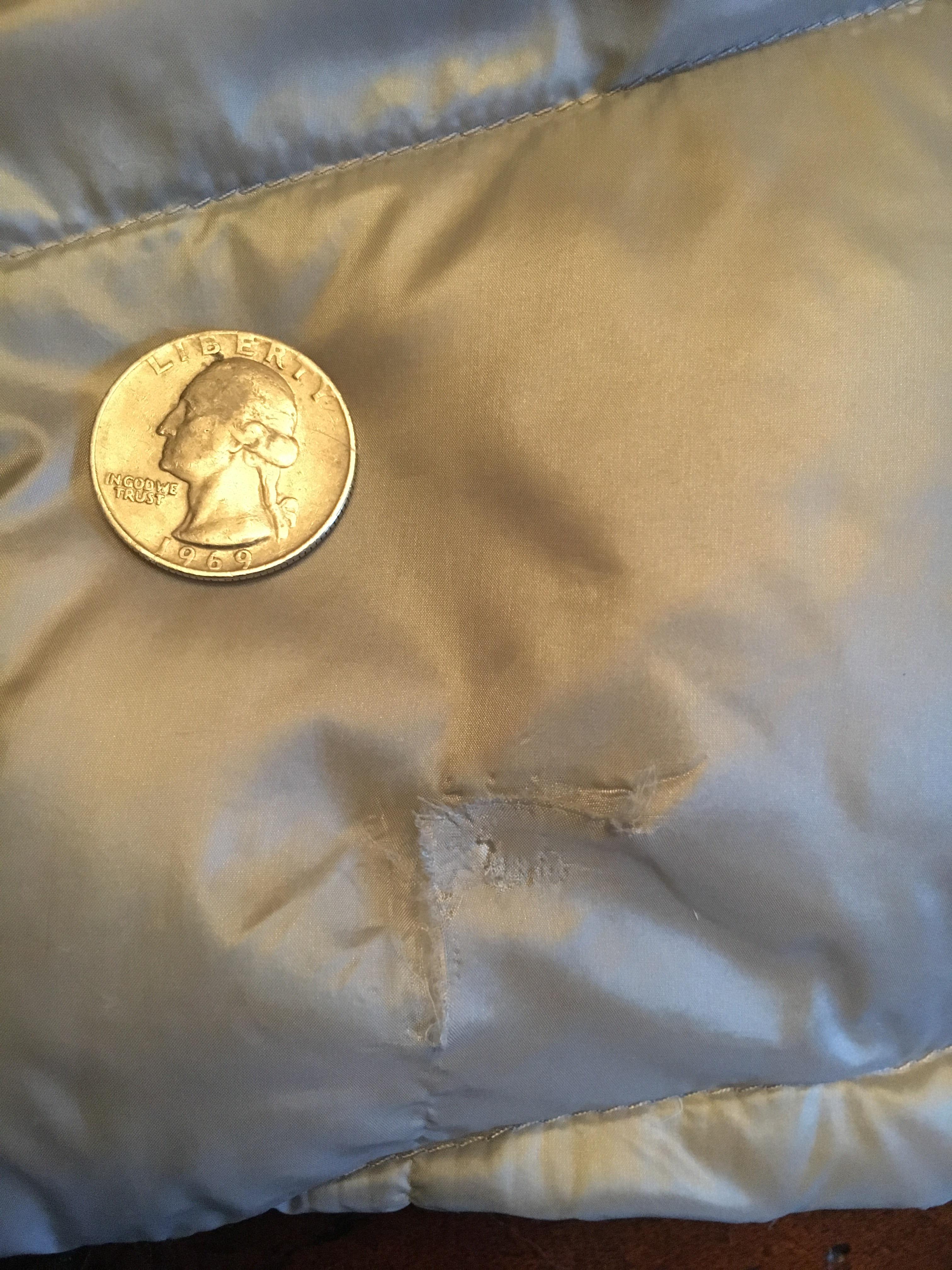 My zooming dog ripped my LL Bean down jacket. What's the best way to