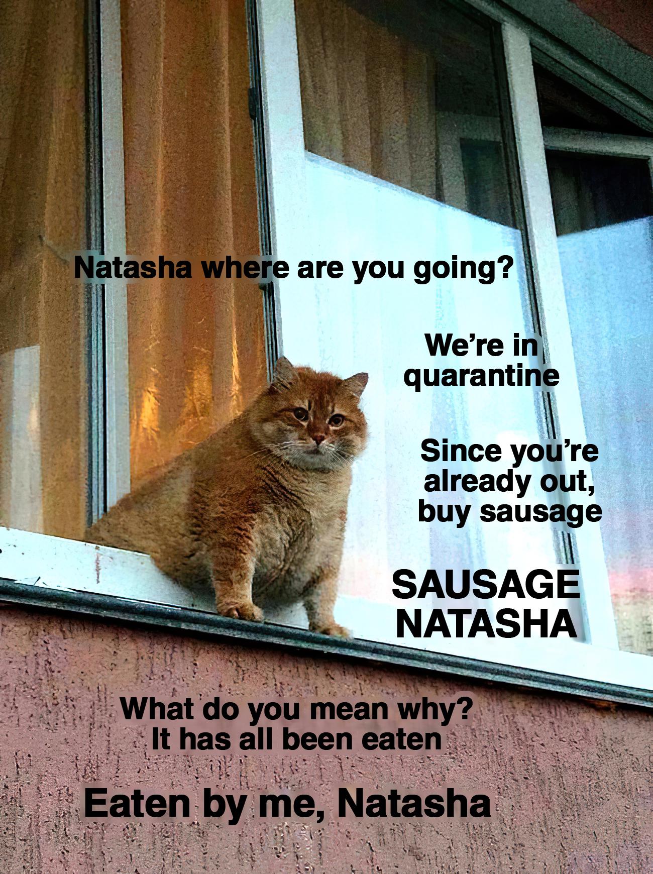 Sausage, Natasha (Russian Cat) r/MemeRestoration