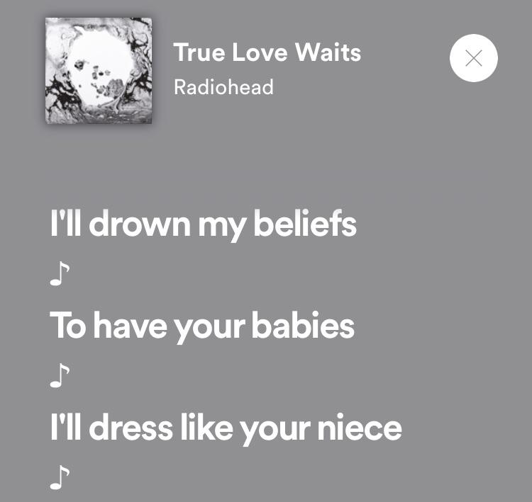 Can someone interpret what the hell these lyrics mean