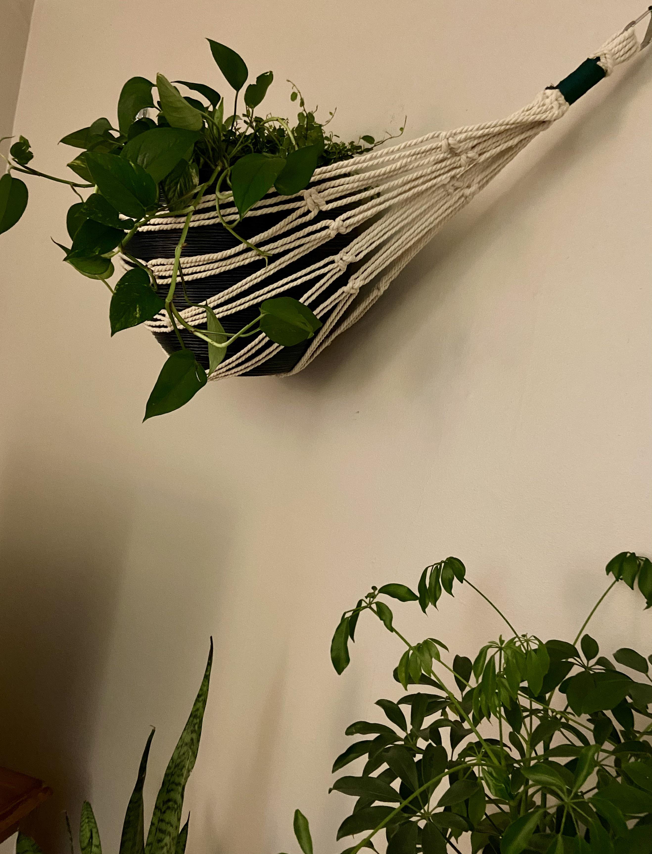 Took a crack at making a plant hammock. Turned out better than expected