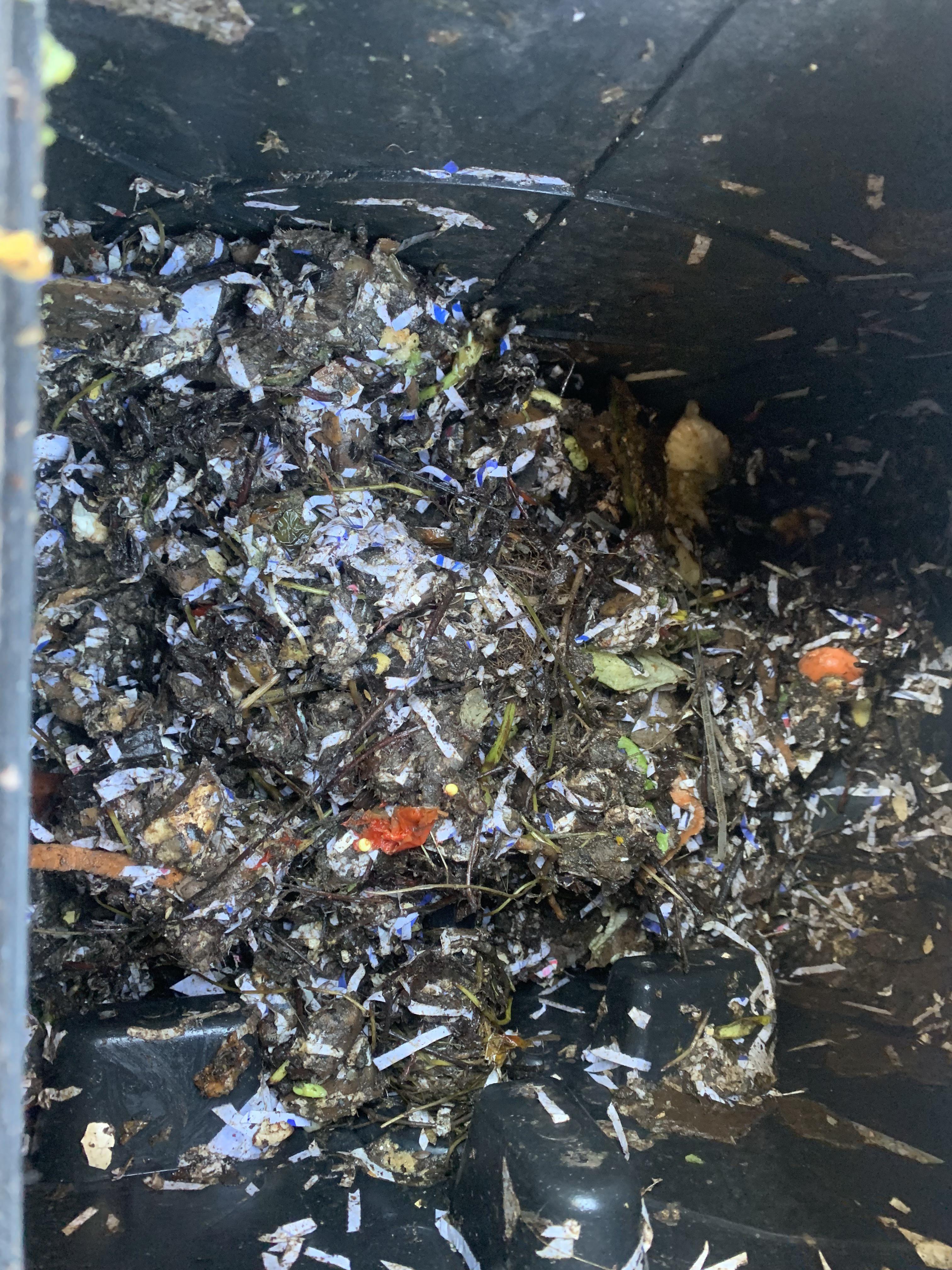 How’s my compost looking, too wet? Too many browns? Good?