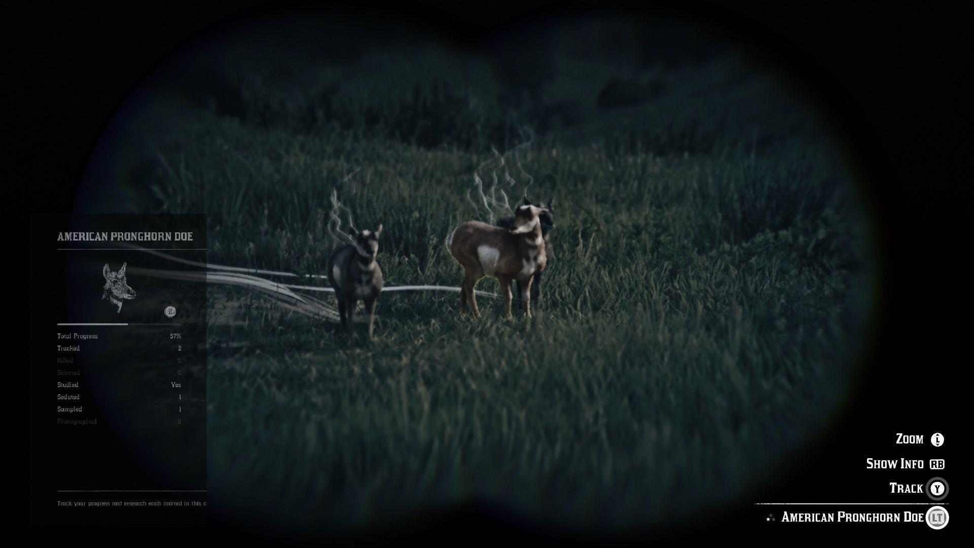 Wouldn’t it be far more convenient if the refined binoculars did this