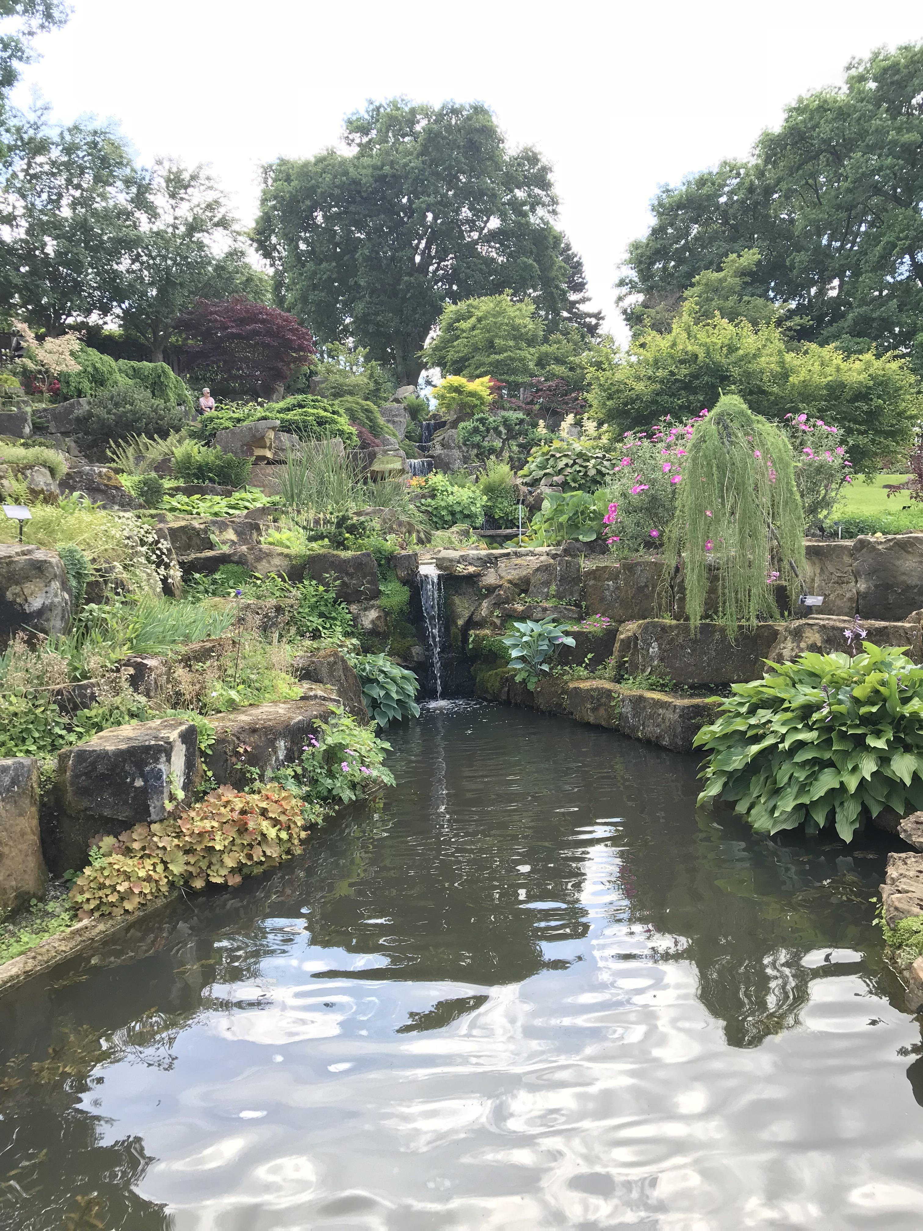Royal Horticultural Society garden Wisley, Surrey UK. Absolutely