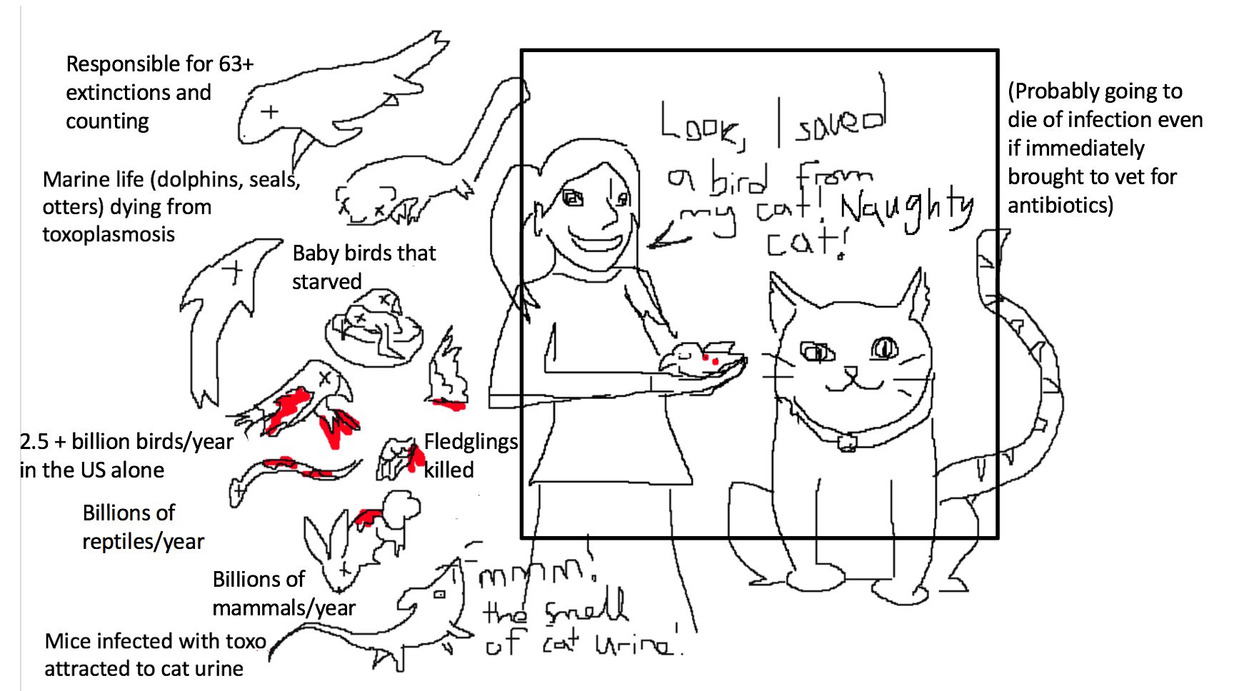 To all those who try and 'save' the wildlife their cat brings in r