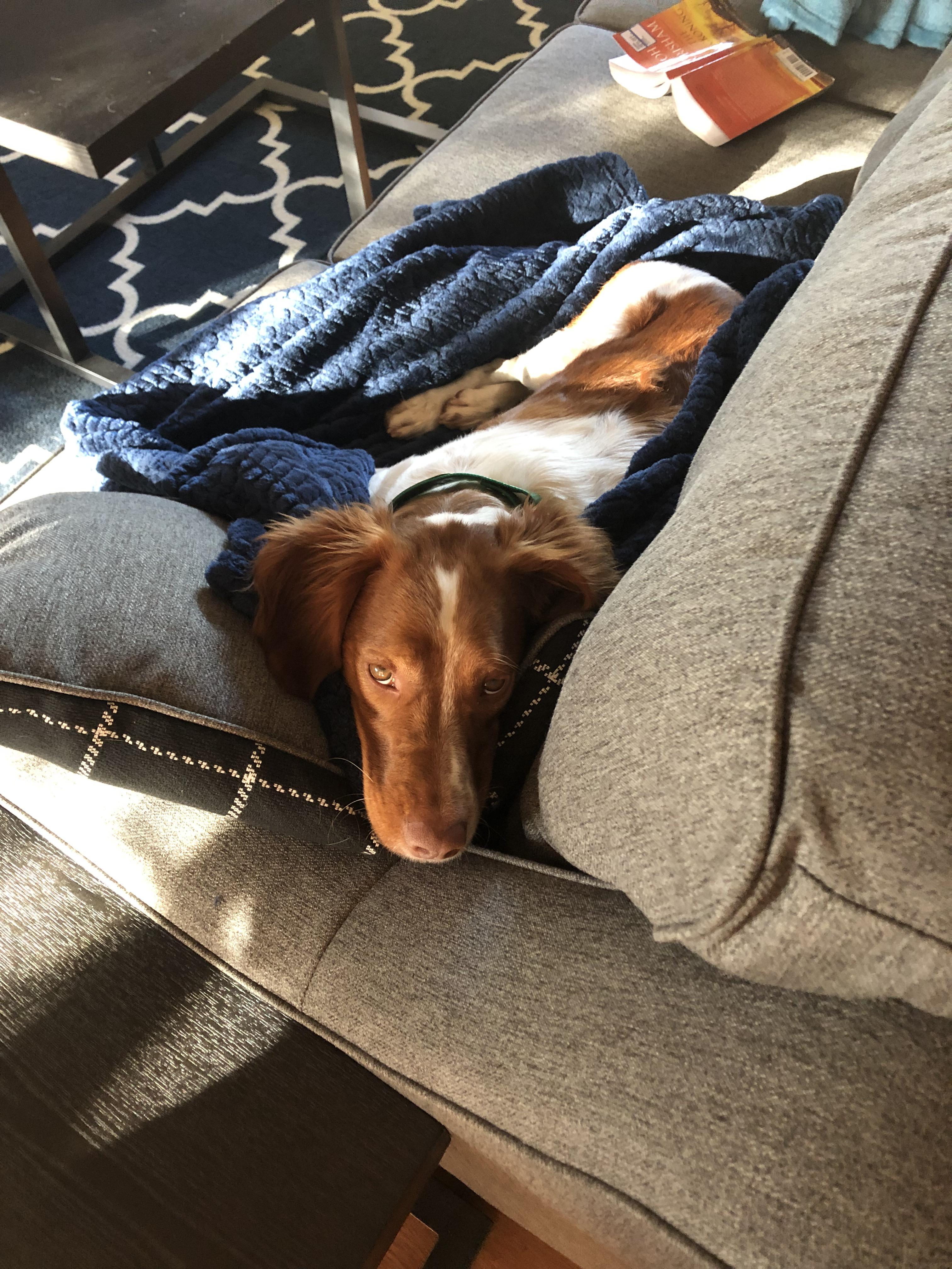 I guess you can lay on the couch since you’re going to get shots today