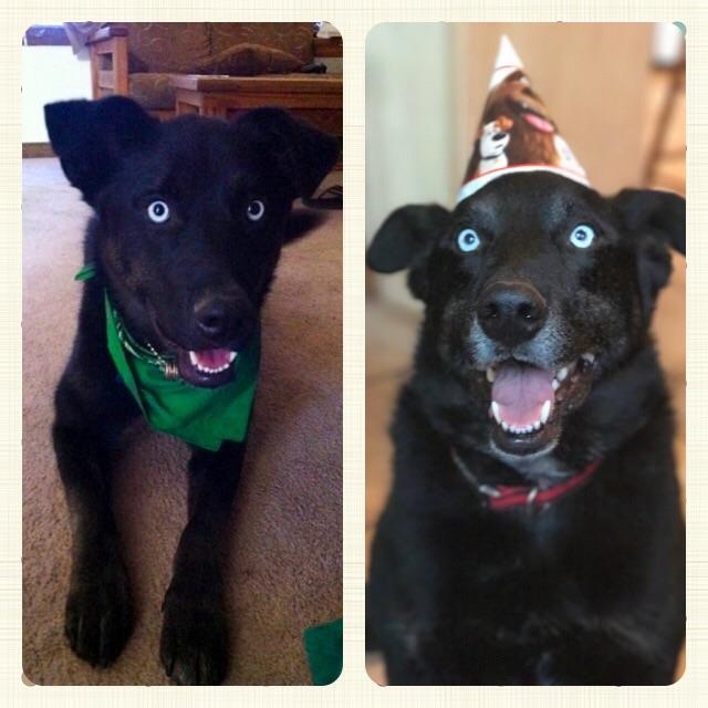 His hair is turning gray and he aches after long walks, but he is still