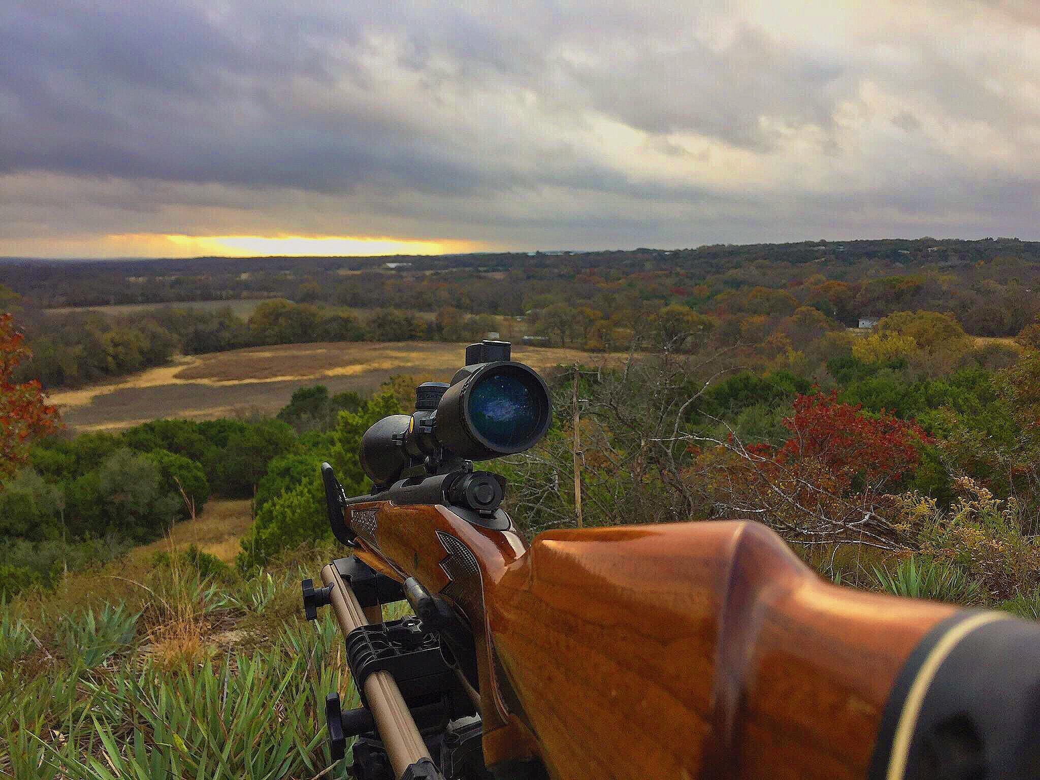 View of my land during a morning hunt. I live for this right here. r