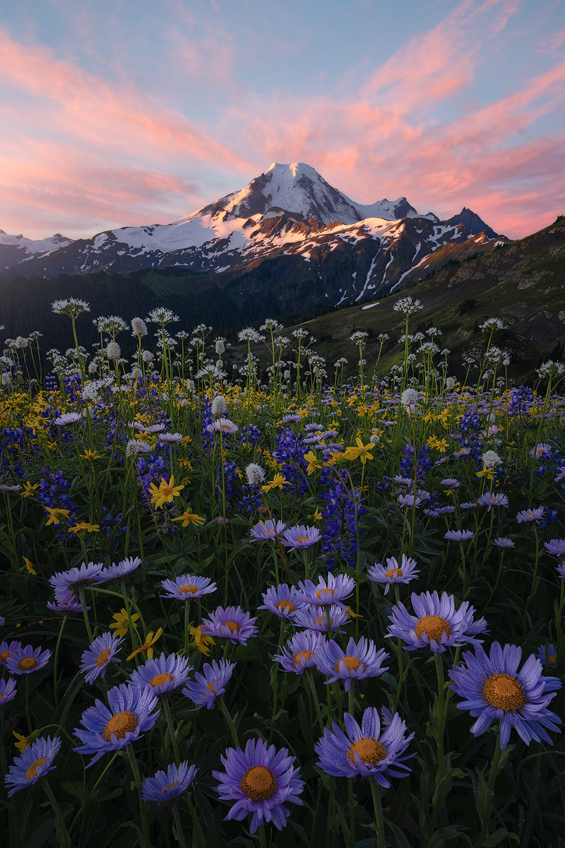Interesting Photo of the Day Floral Sunrise at Mt. Baker