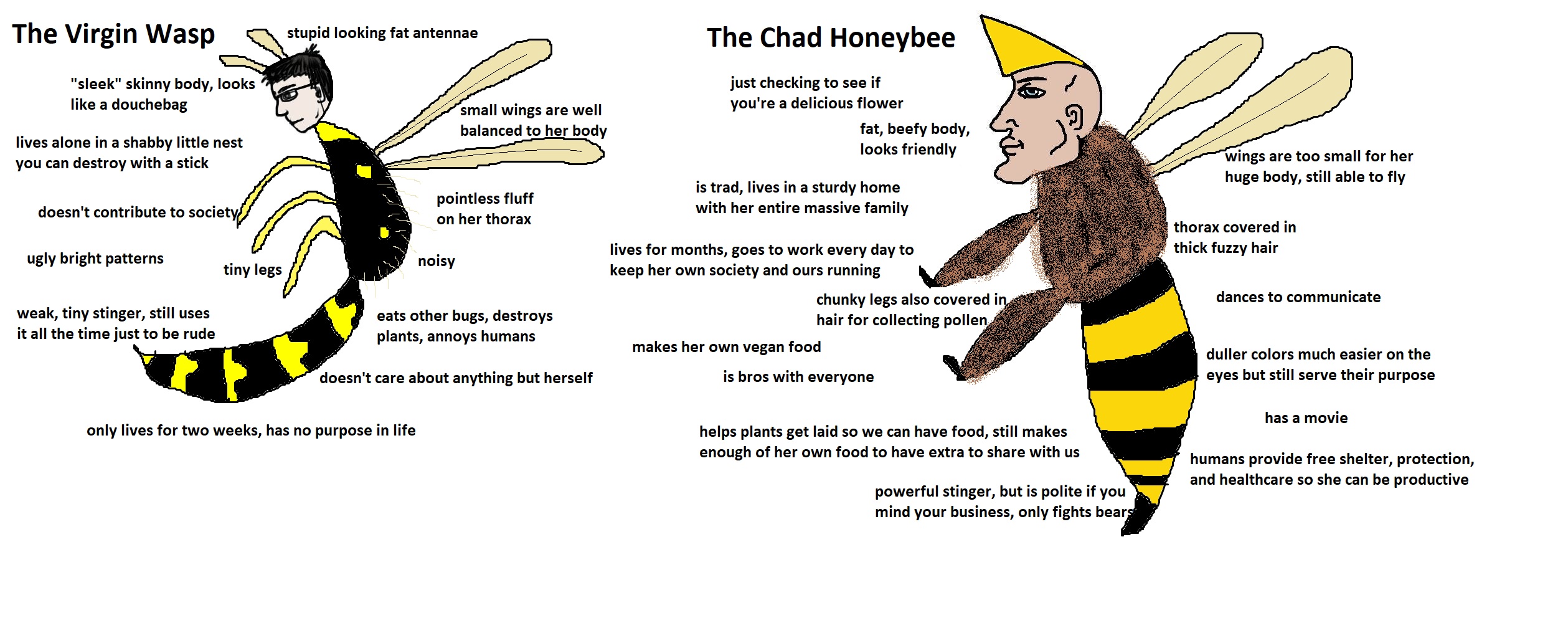 Predator Of Bees Most pests feed on the bees themselves, bee brood