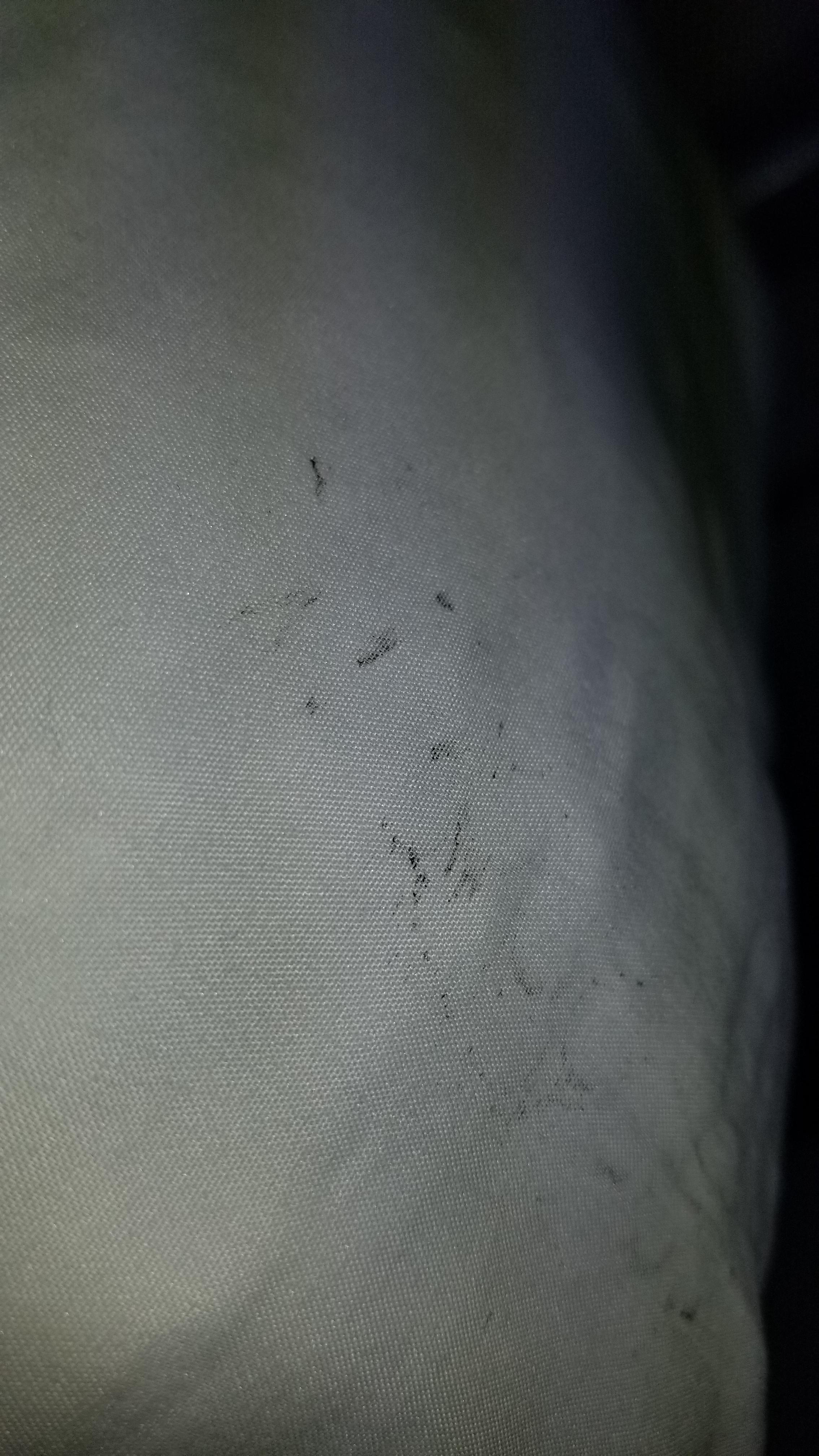 are these bedbug dropping stains? (details in comments) r/Bedbugs