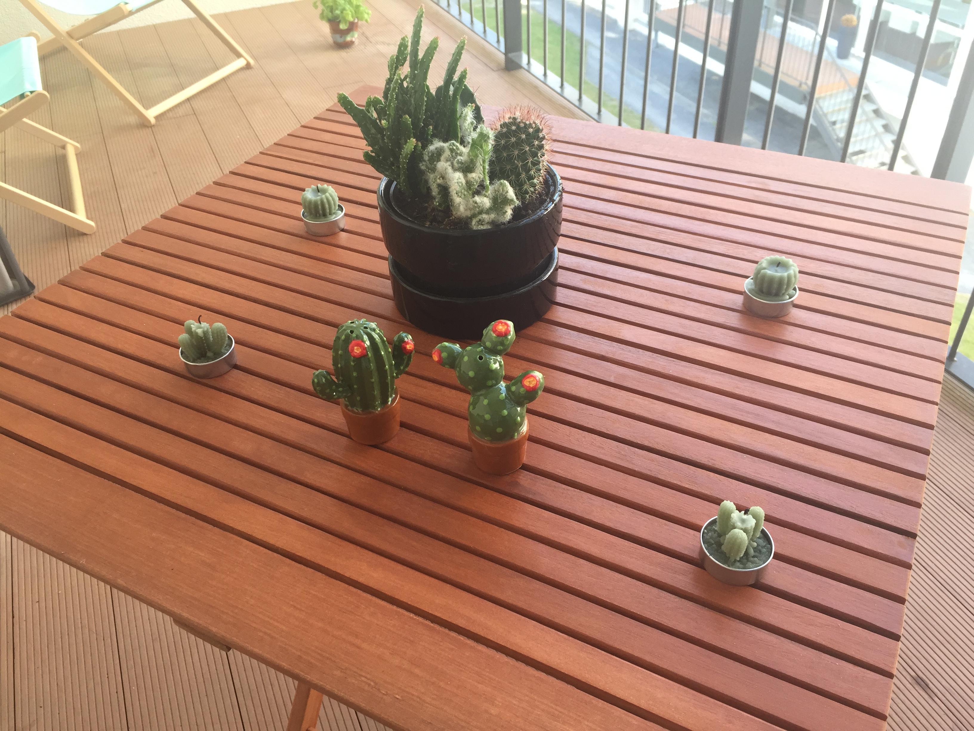 GF got me salt and pepper shakers for my birthday ) r/succulents