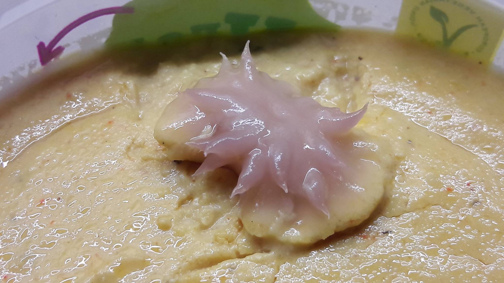 Expired hummus breeds monsters r/WTF