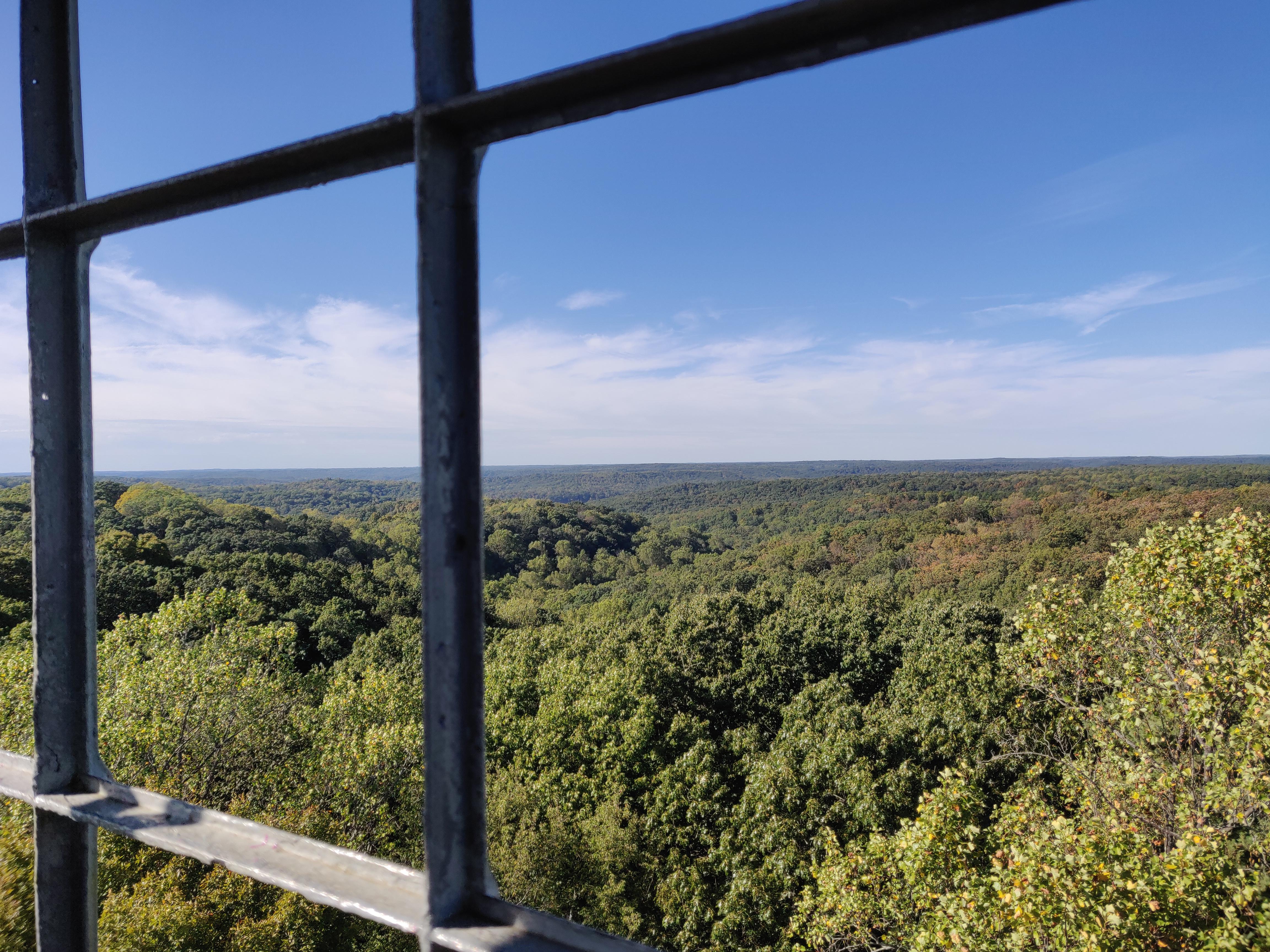 Hickory Ridge Fire Tower (30 minutes From Bloomington) r/Indiana
