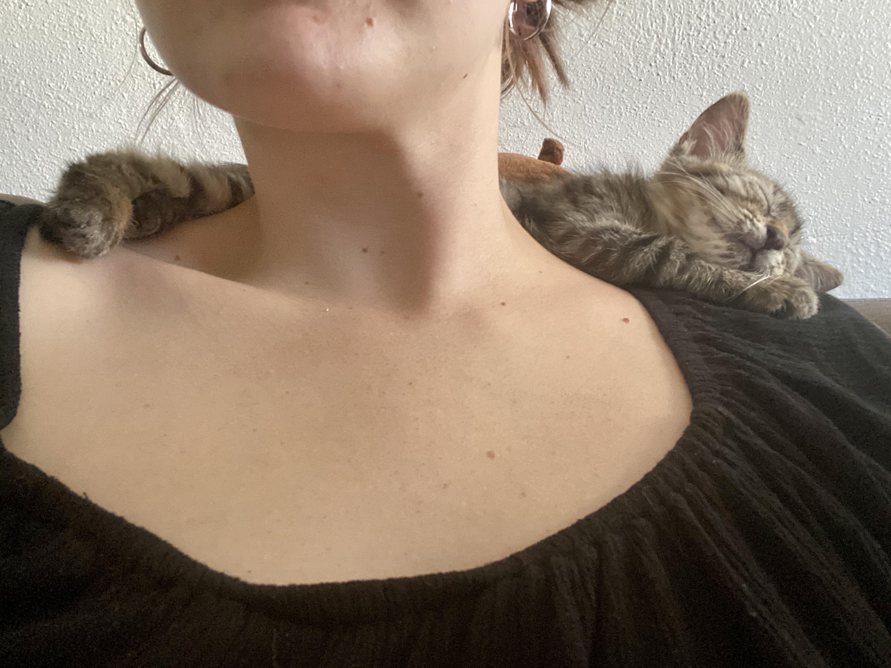 I heard y’all like cats on shoulders r/shouldercats