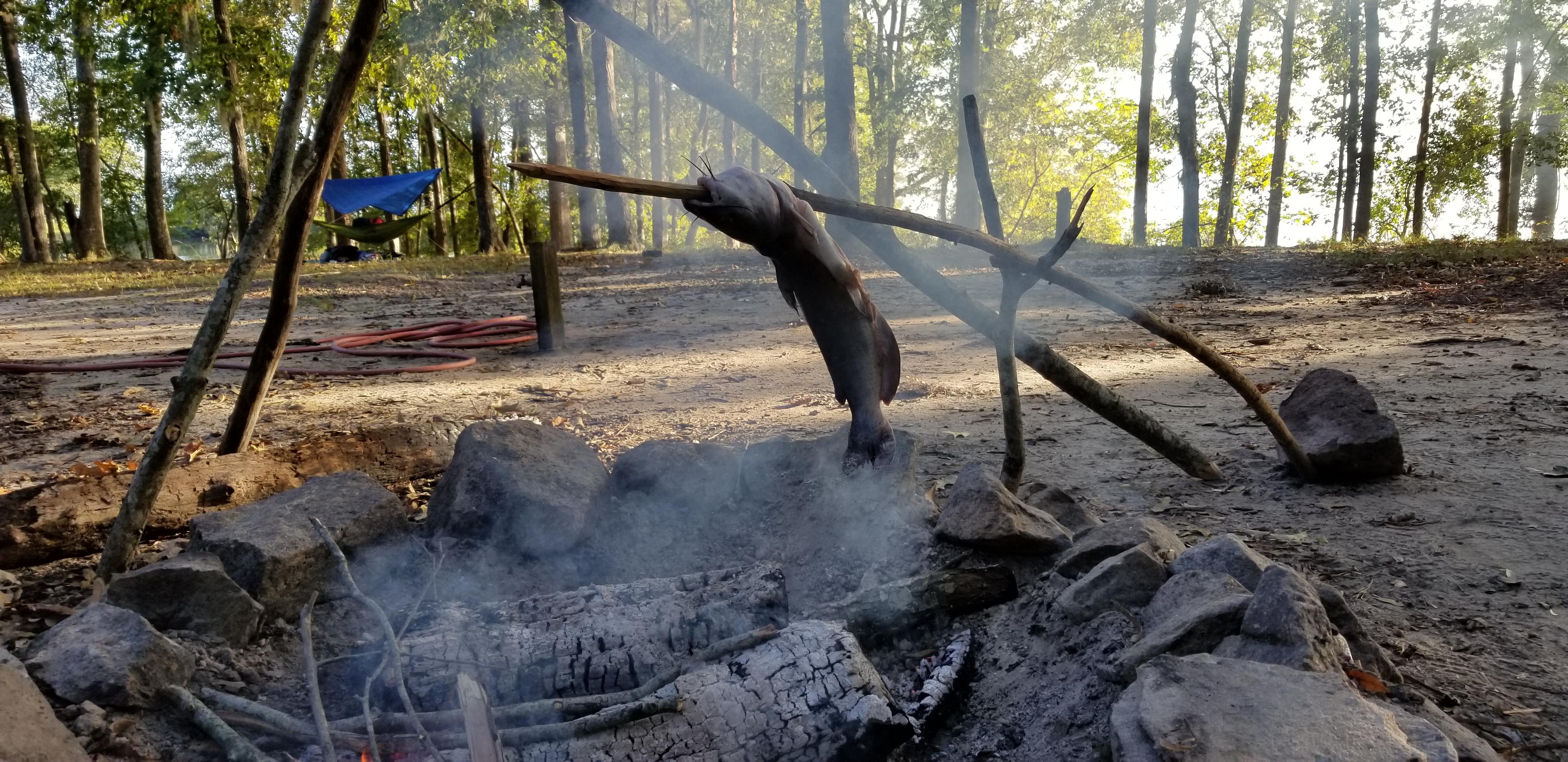 Catfish roasting on an open fire r/Fishing
