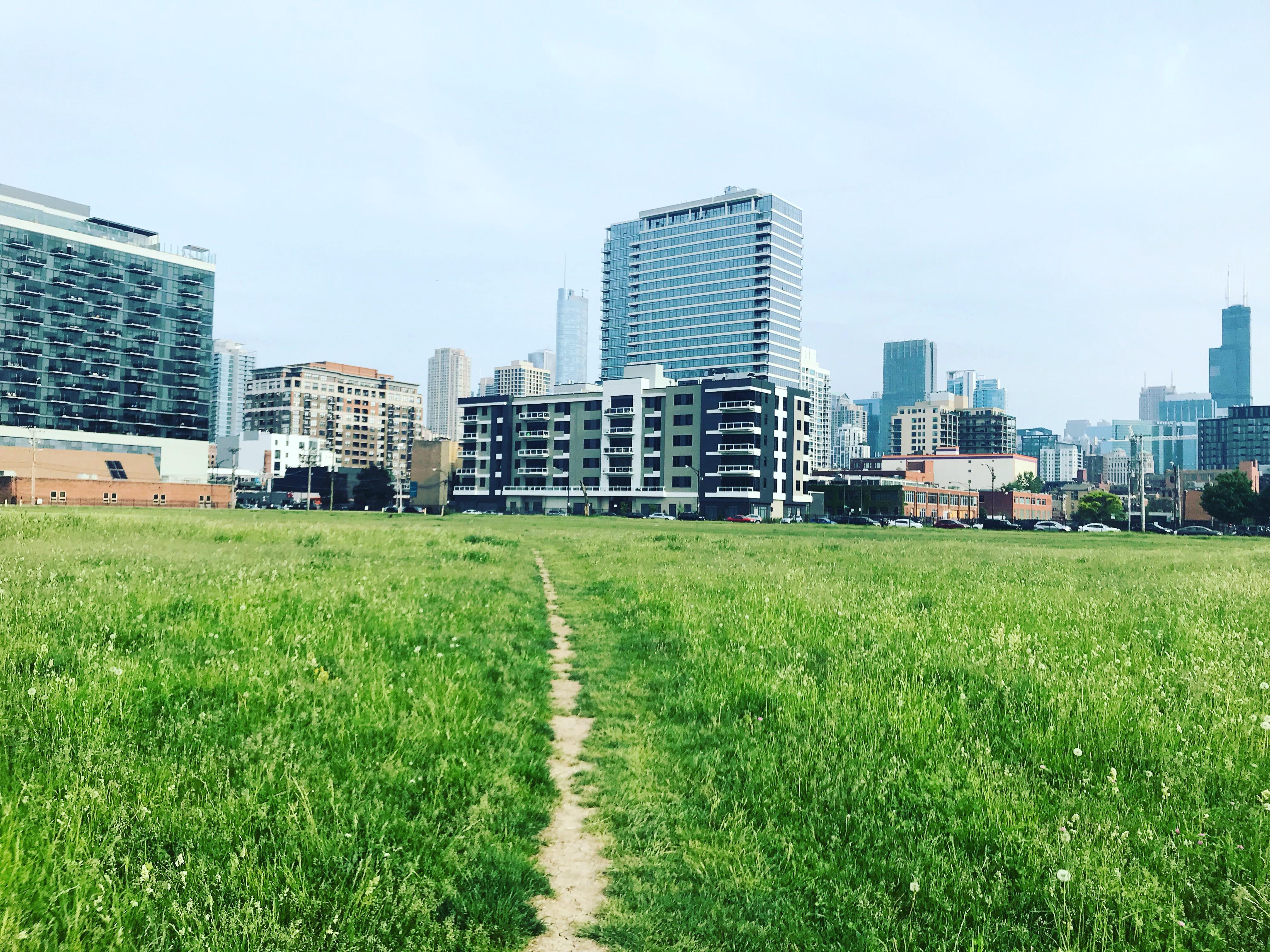 A rare grassy field, in Chicago, with a path leading me home. r