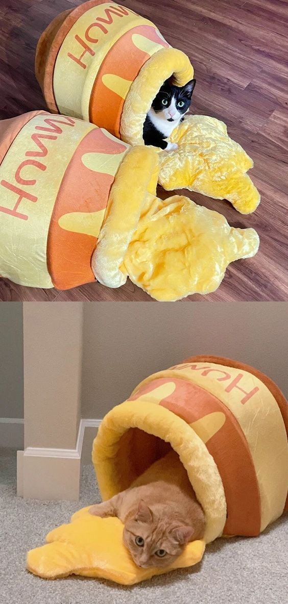 honey pot cat bed r/pottedcats
