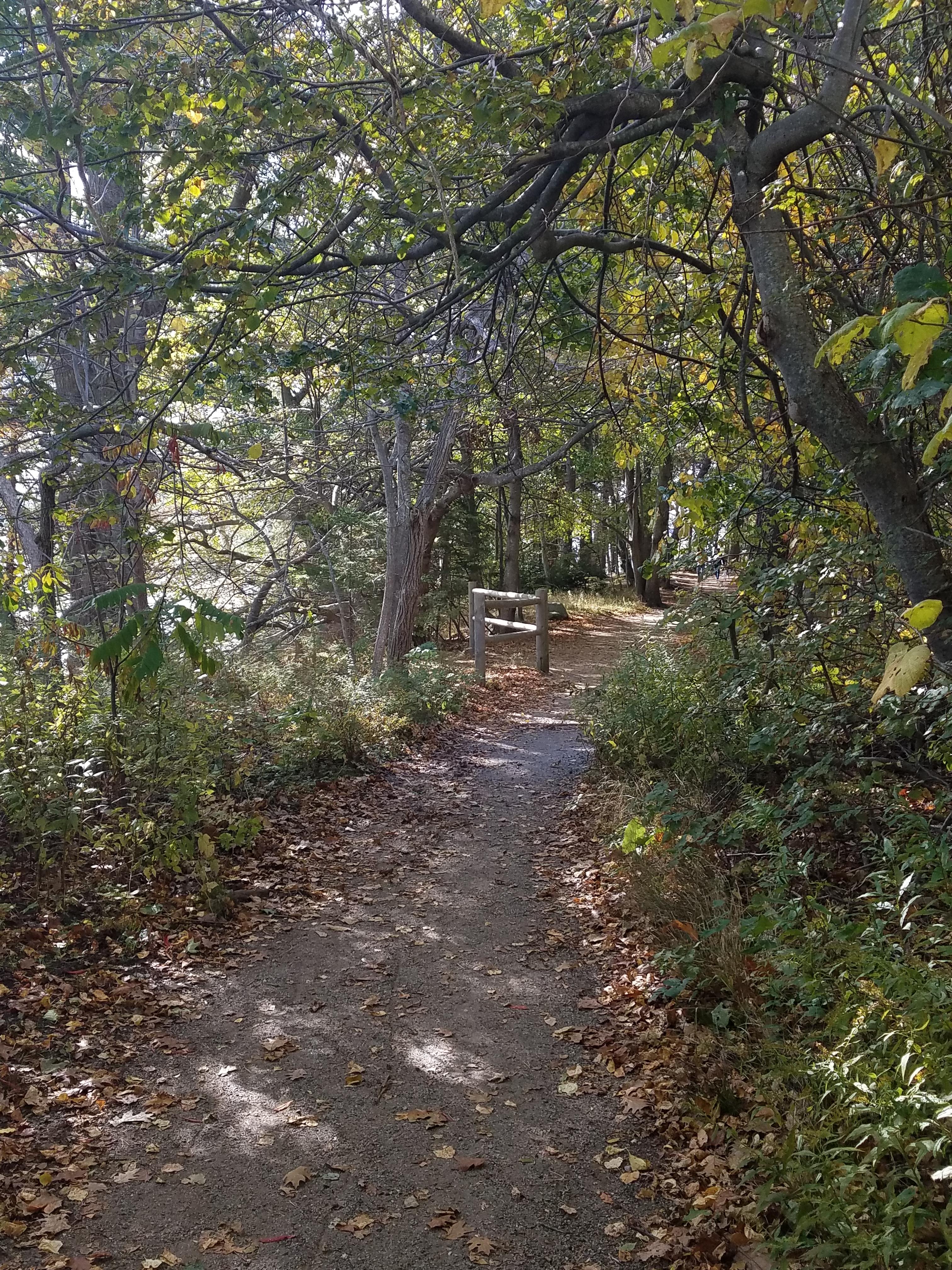 A Quiet Walk Around Mackworth Island r/Maine