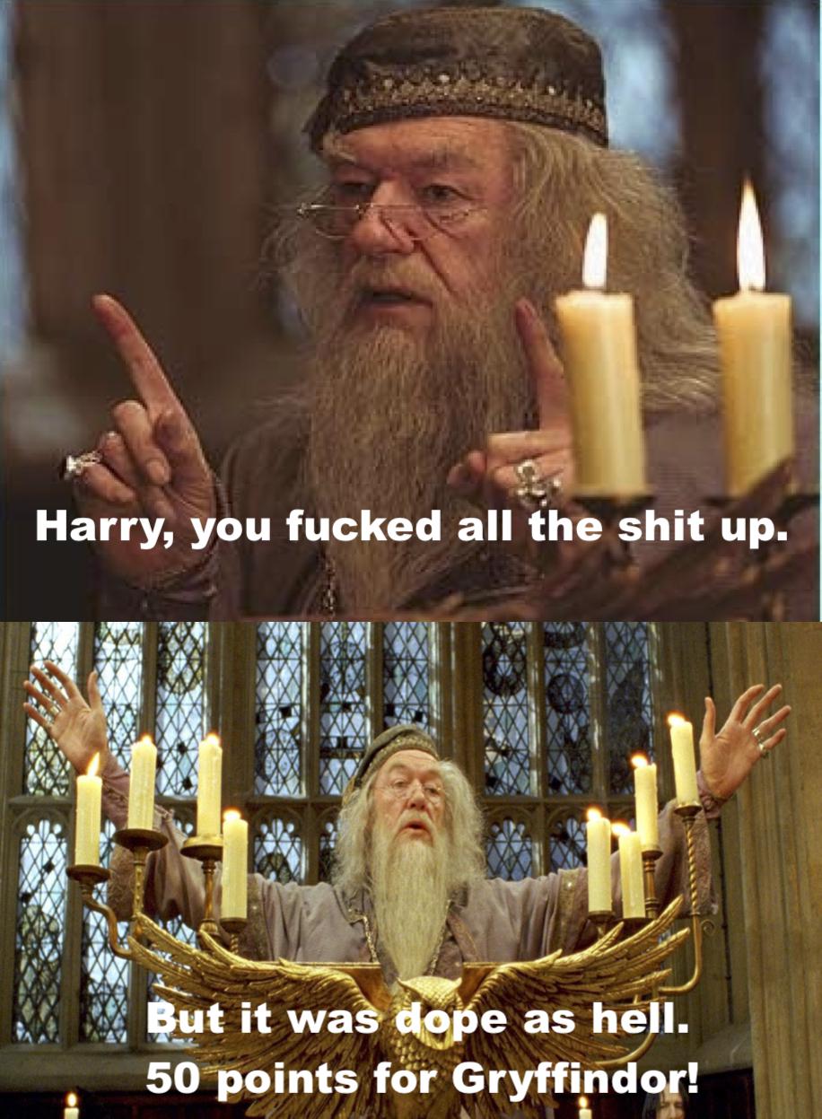 Gryffindor wins the house cup! r/harrypotter