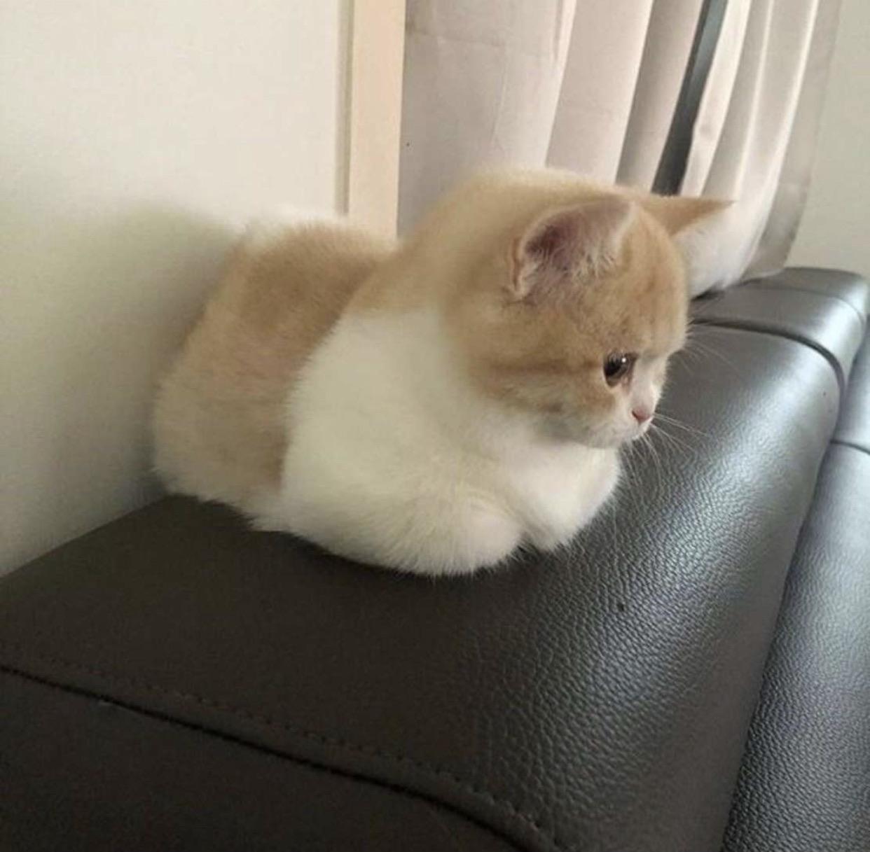 I thought I was on this subreddit the past hour, but I was on r