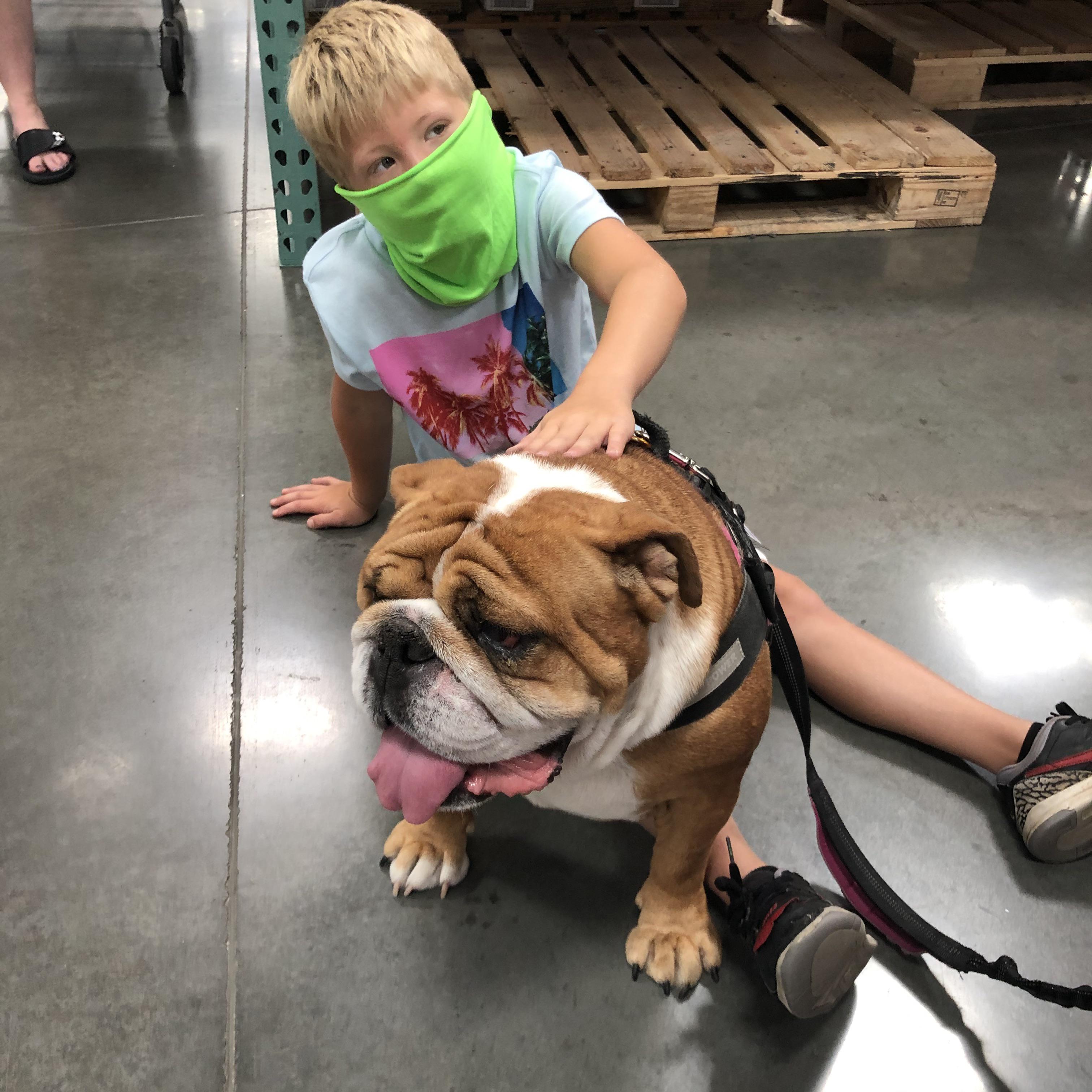 Lulu’s find at Costco today. r/Bulldogs