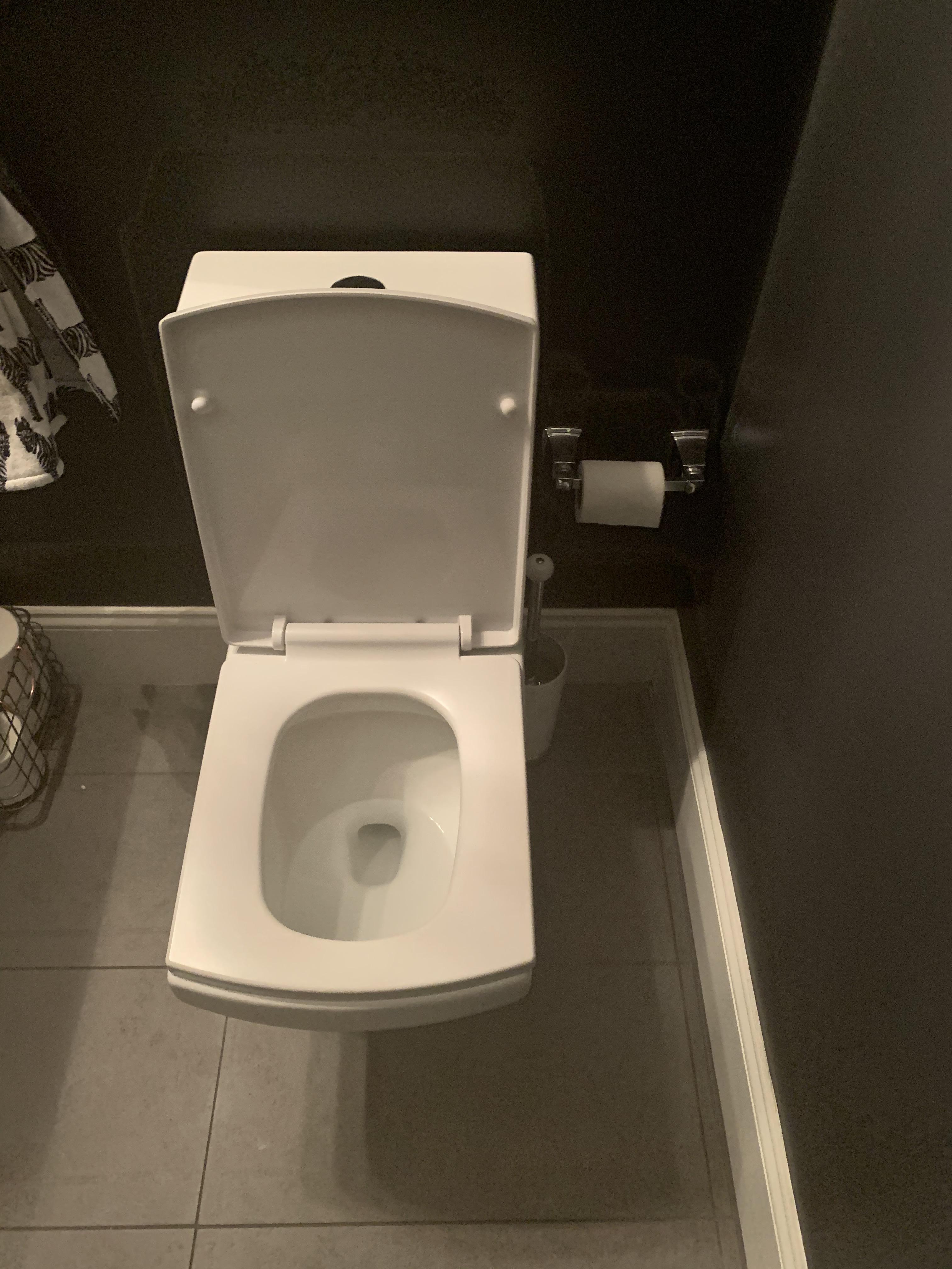 My cousins have a square toilet bowl at their house. r/mildlyinteresting