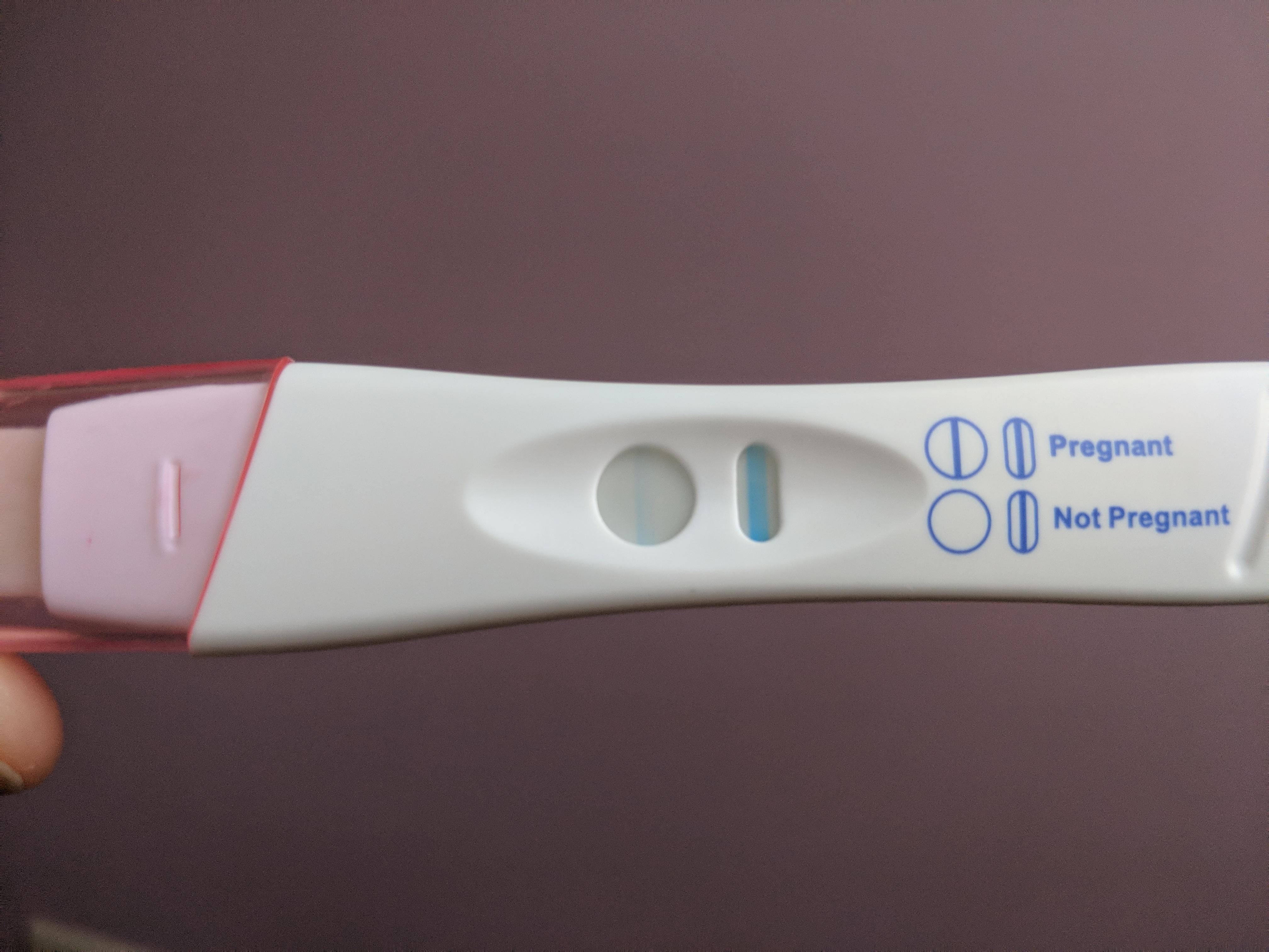 Pregnancy Test At Night Reddit pregnancy test