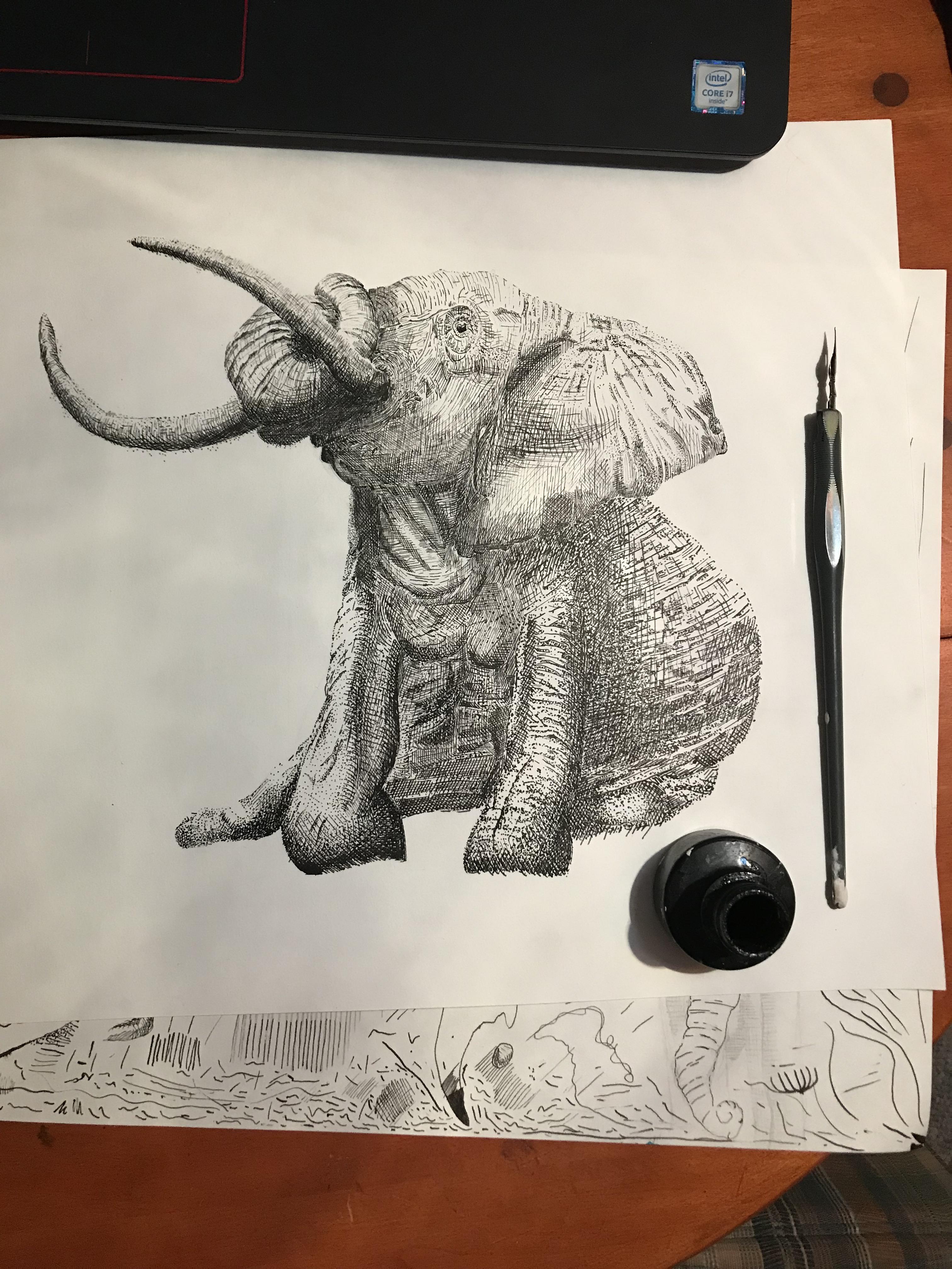 First time using a dip pen advice appreciated r/drawing
