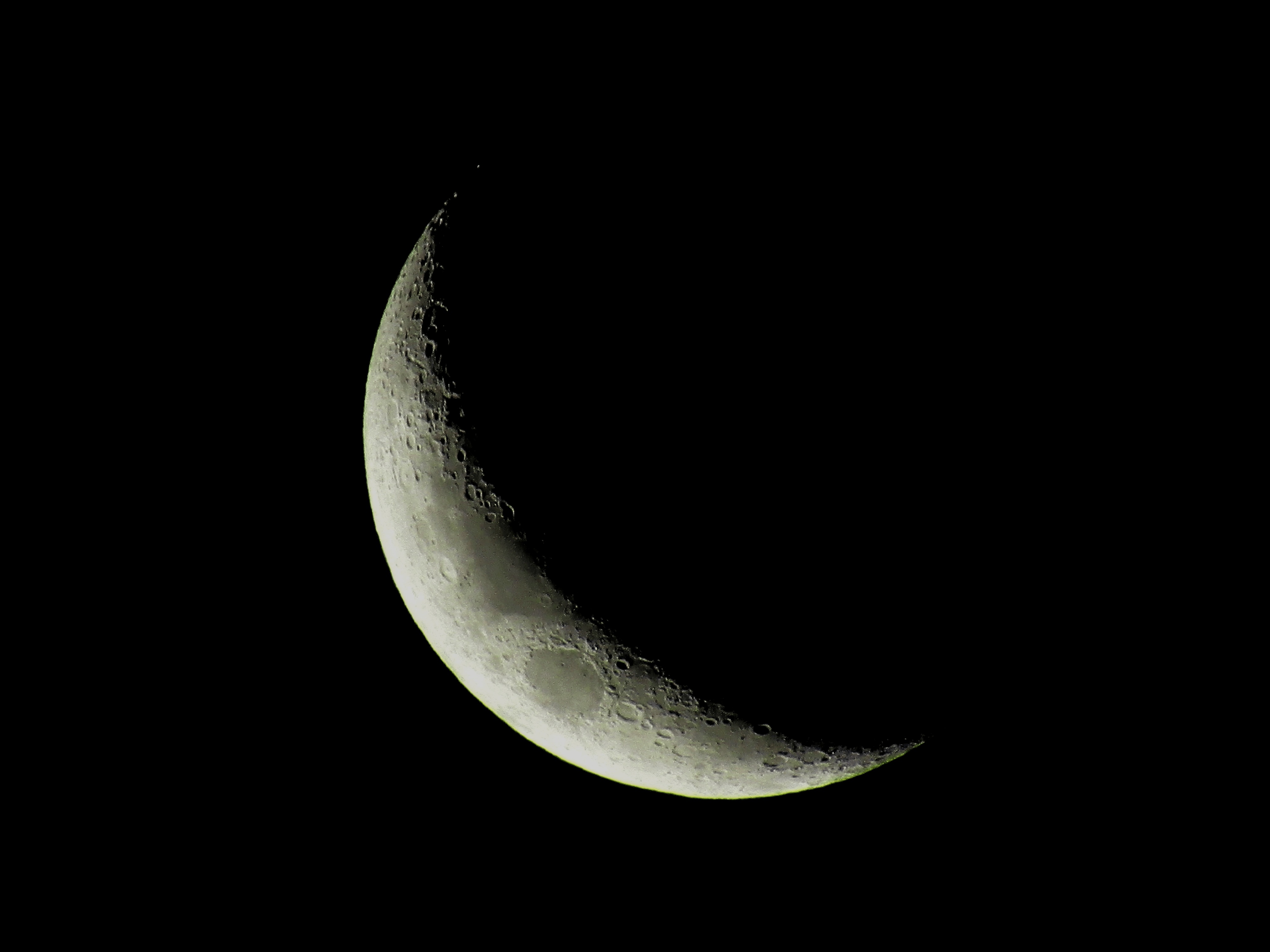 Captured the crescent Moon in my backyard with only a cheap digital