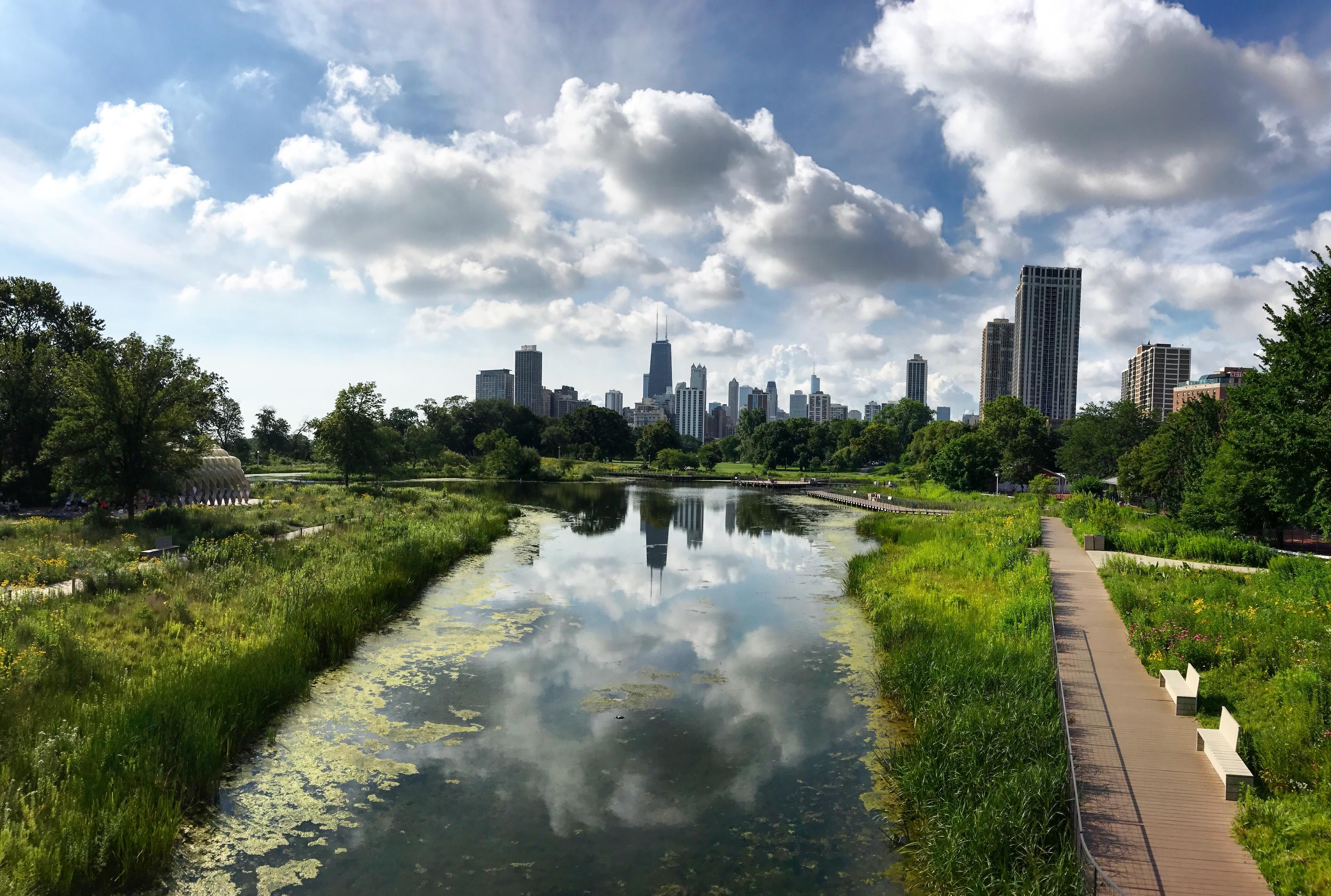 Lincoln Park was looking spectacular this morning chicago