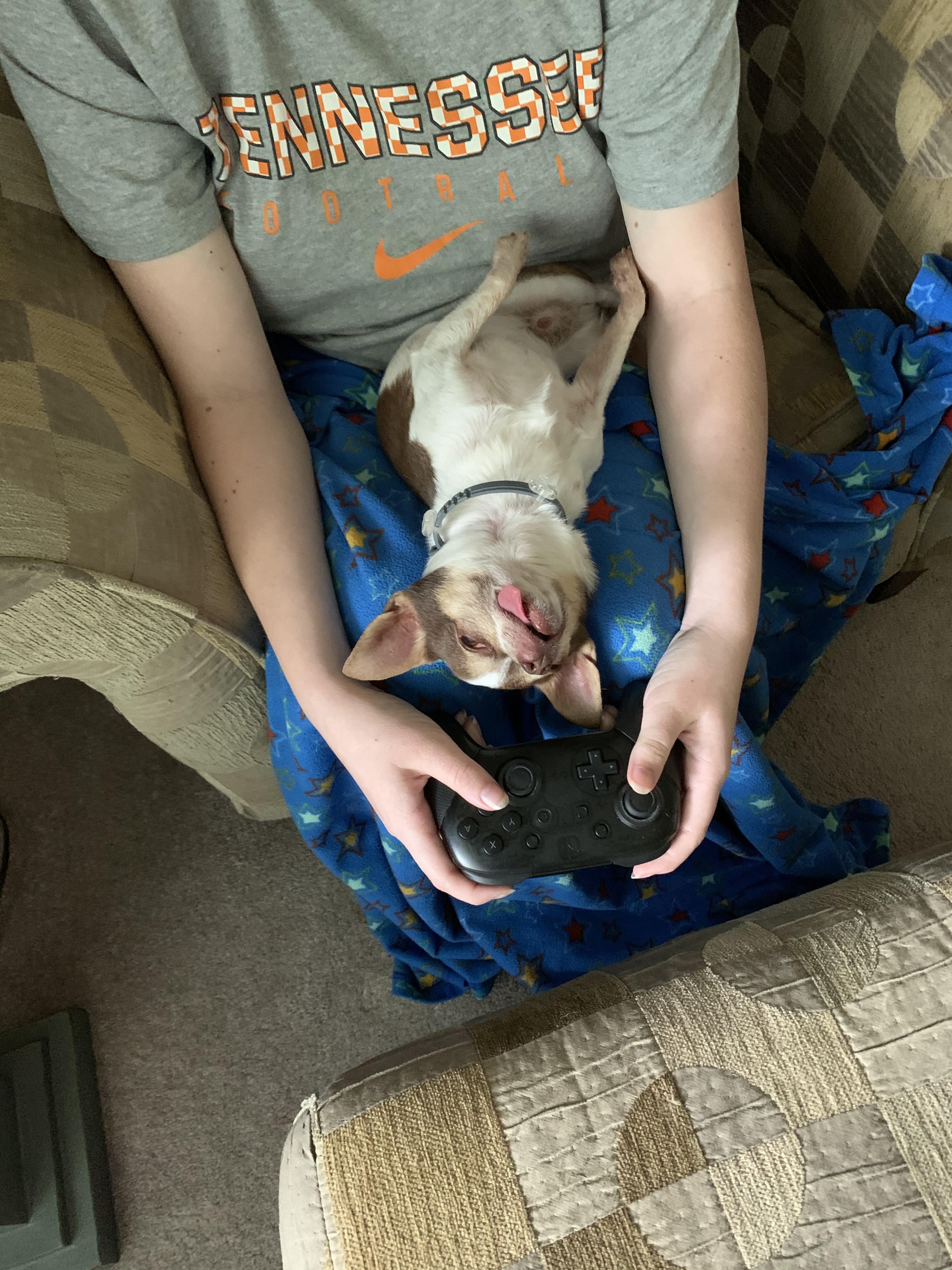 My boy had a dental done yesterday and he is really