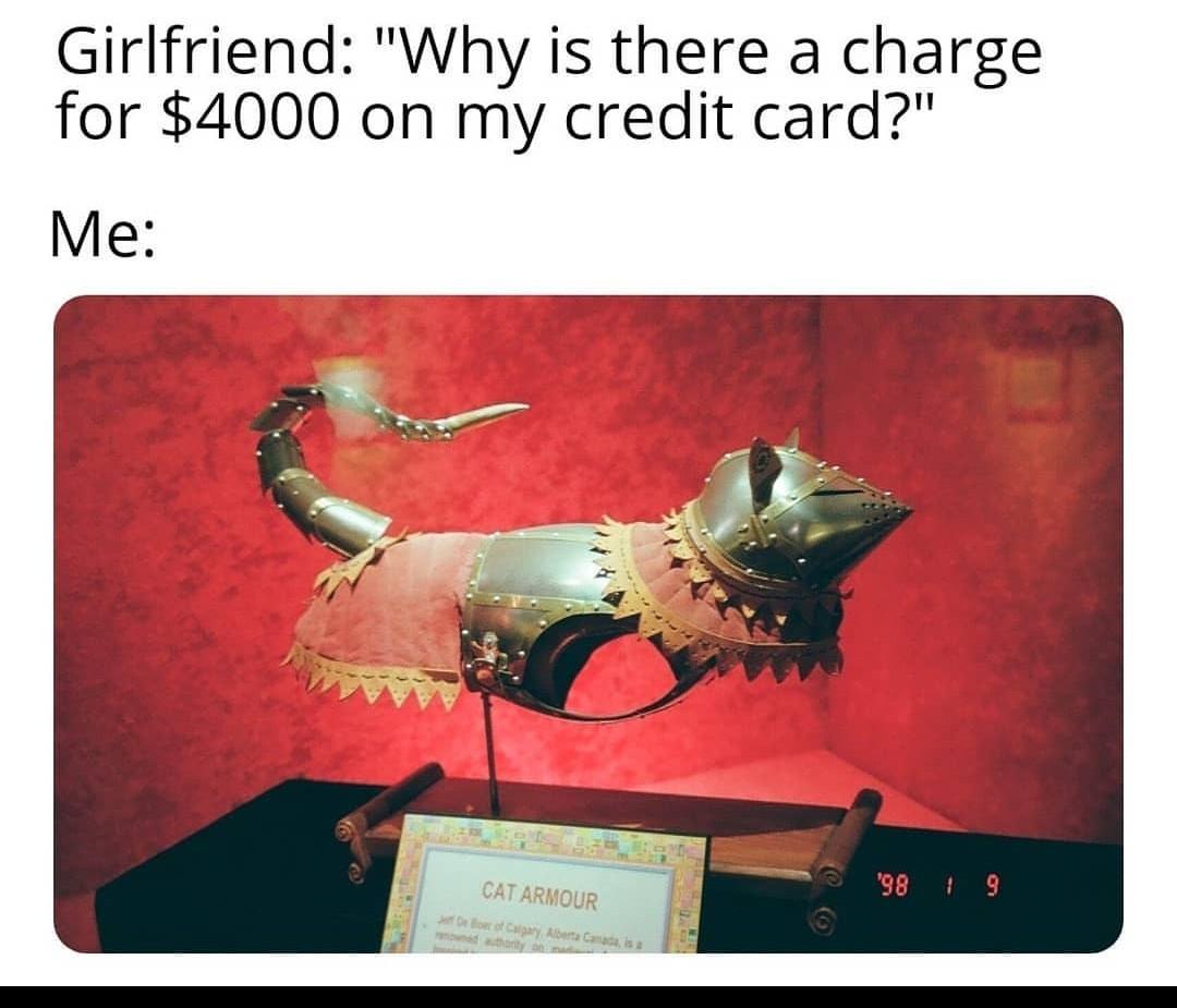 CAT ARMOR!!!!! r/dank_meme
