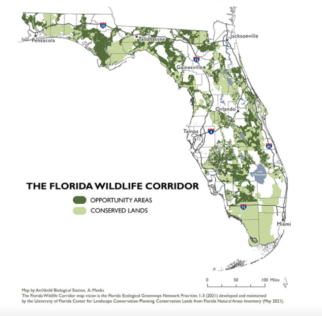 42 Hilarious Florida Land Boom Of The 1920s Puns Punstoppable 🛑