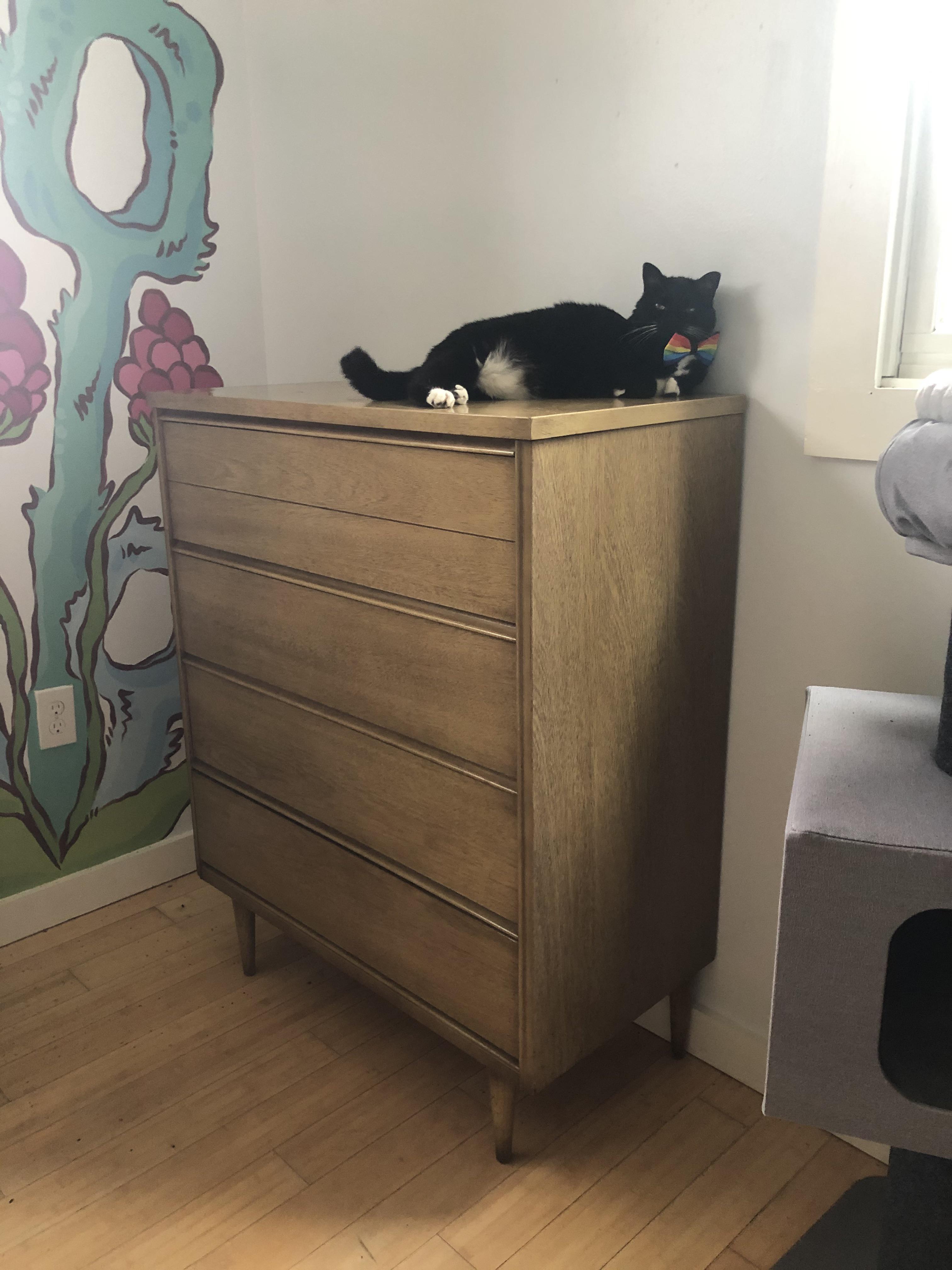 Scored this midcentury Bassett wardrobe off of Craigslist today r