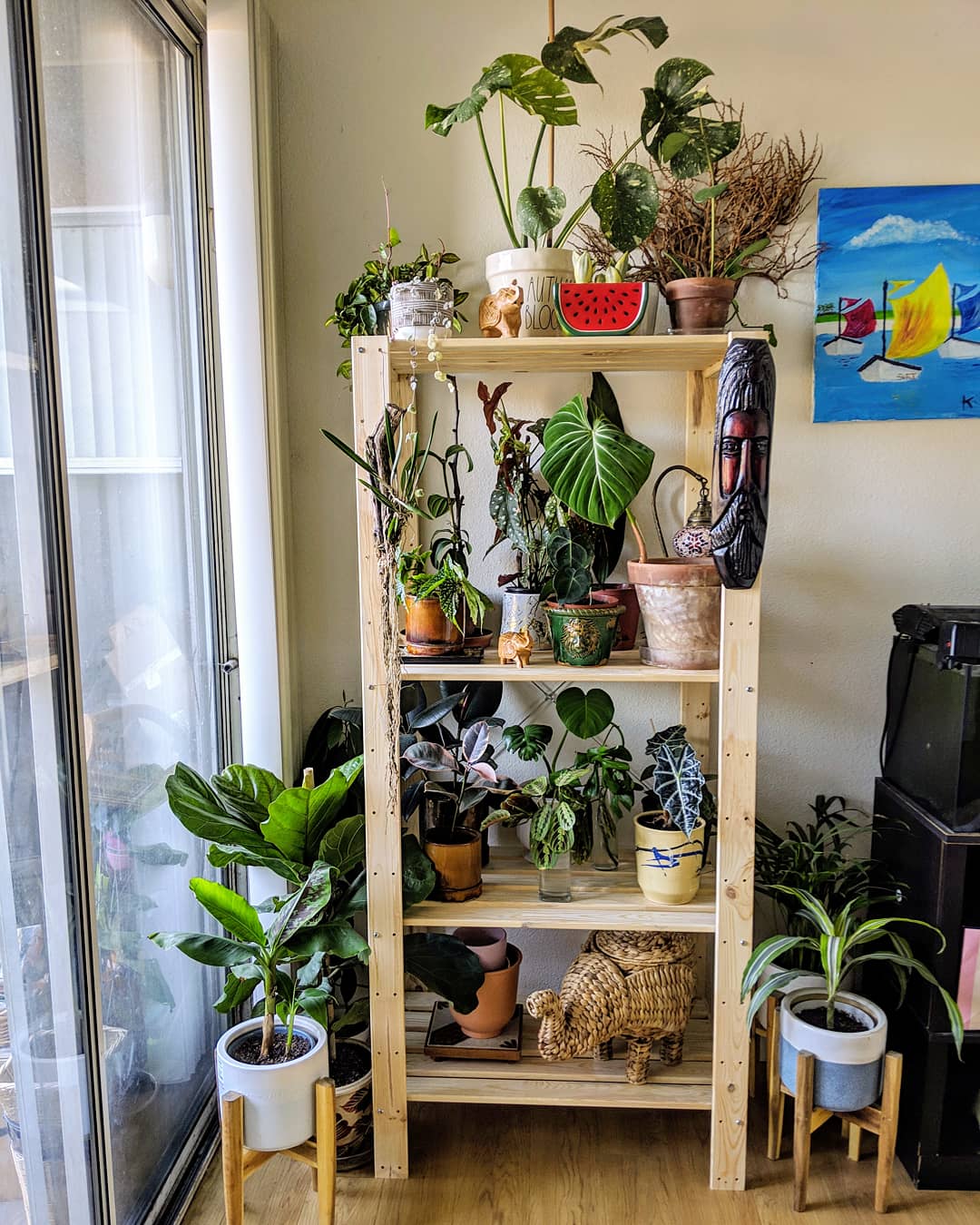 Plant shelfie finally done! r/houseplants