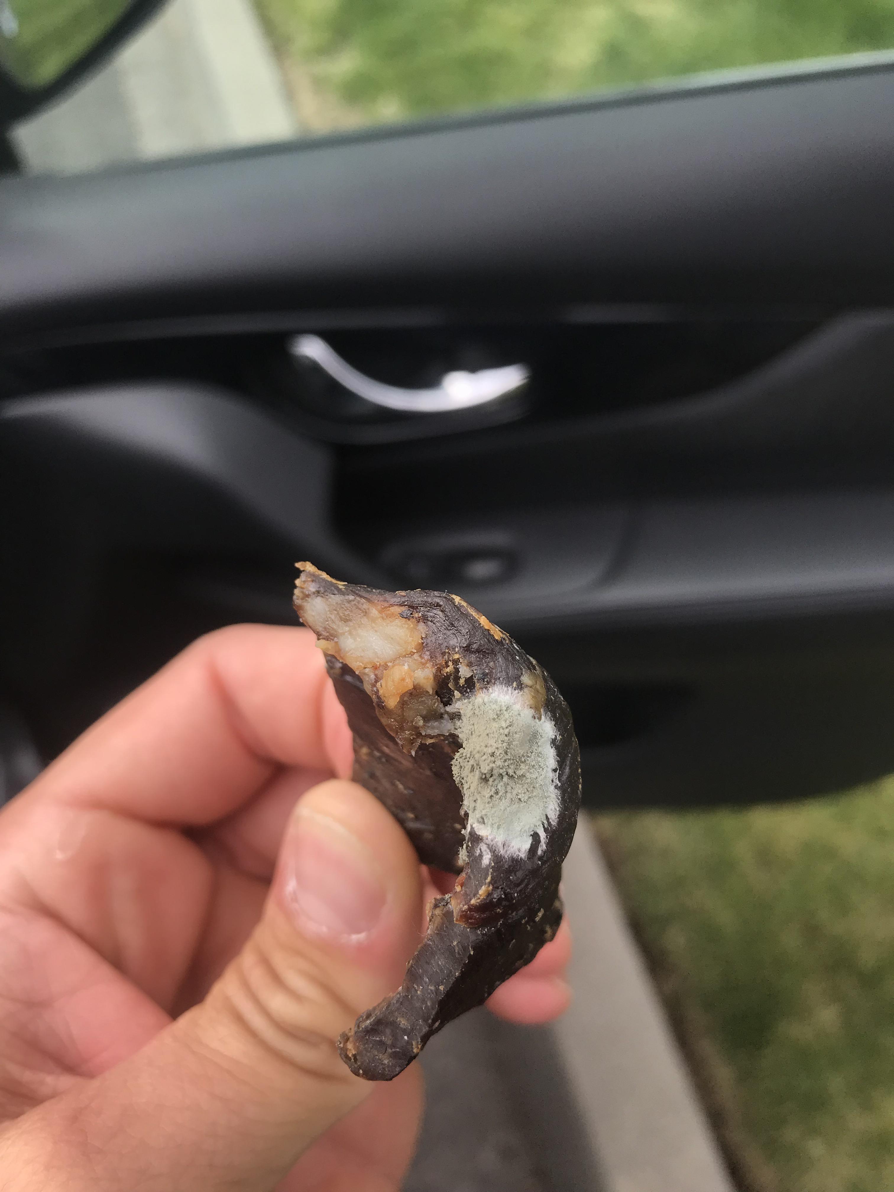 Found this in a bag of Tillamook Jerky r/beefjerky