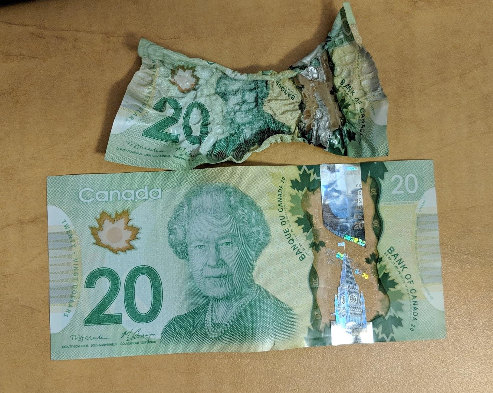Canadian money is basically heatshrink. r/mildlyinteresting