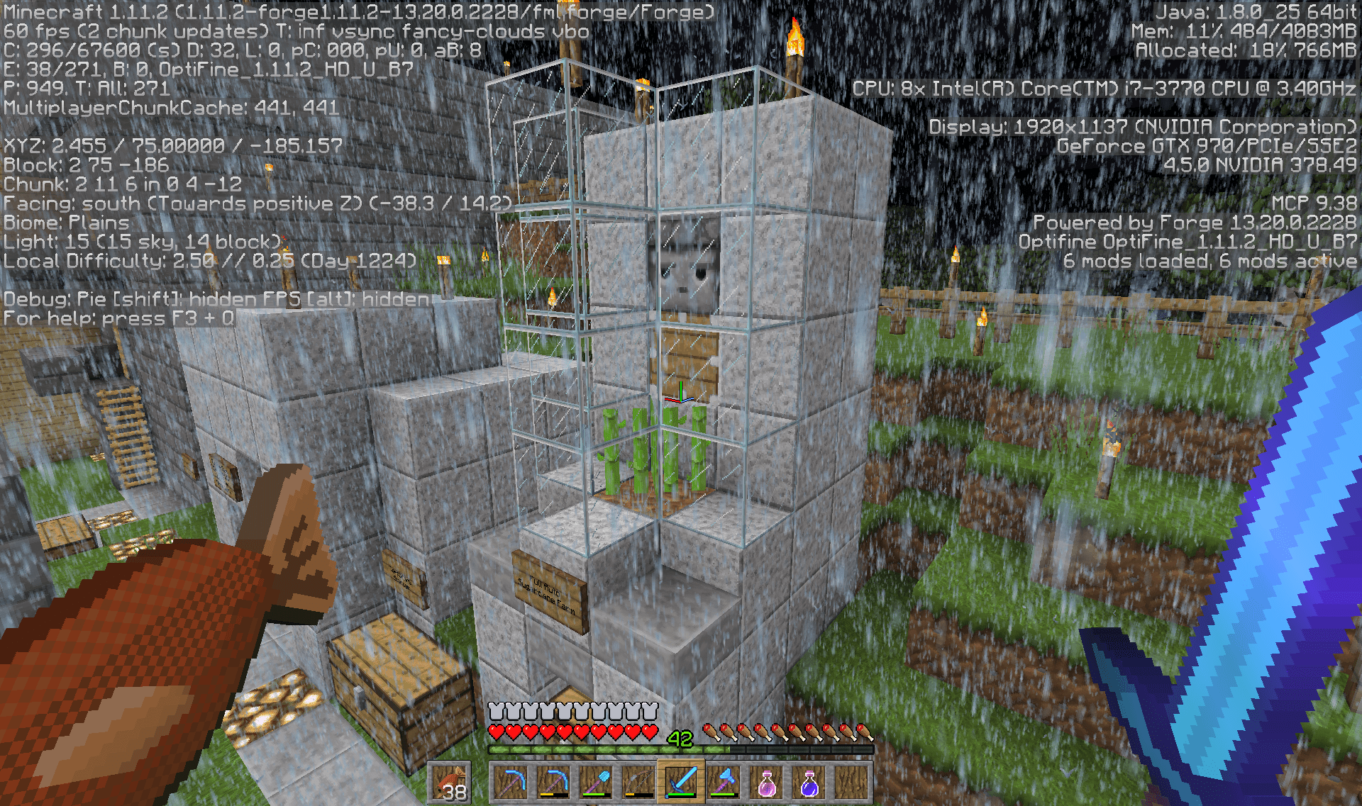 How To Make Sugar Cane Grow Faster Java Home growing food how to grow