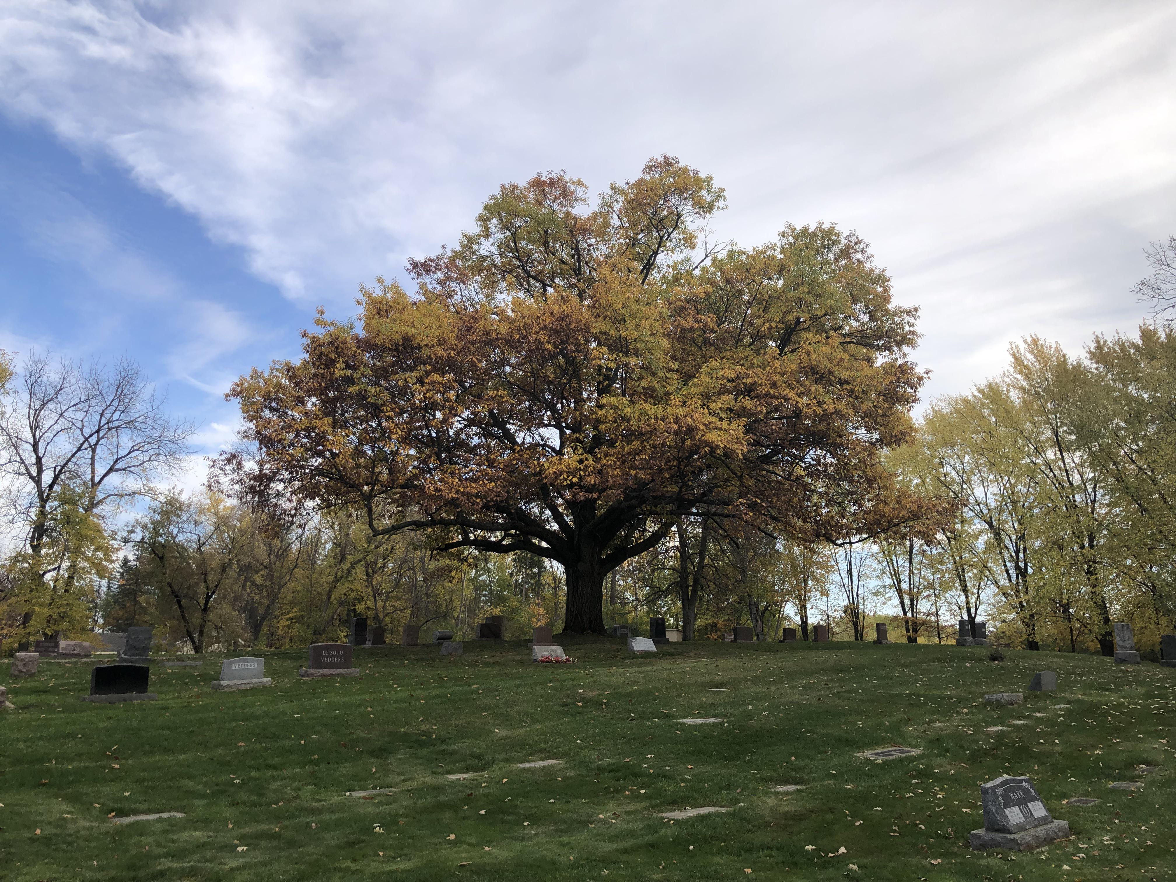 Pease Cemetery, Minnesota, USA r/CemeteryPorn