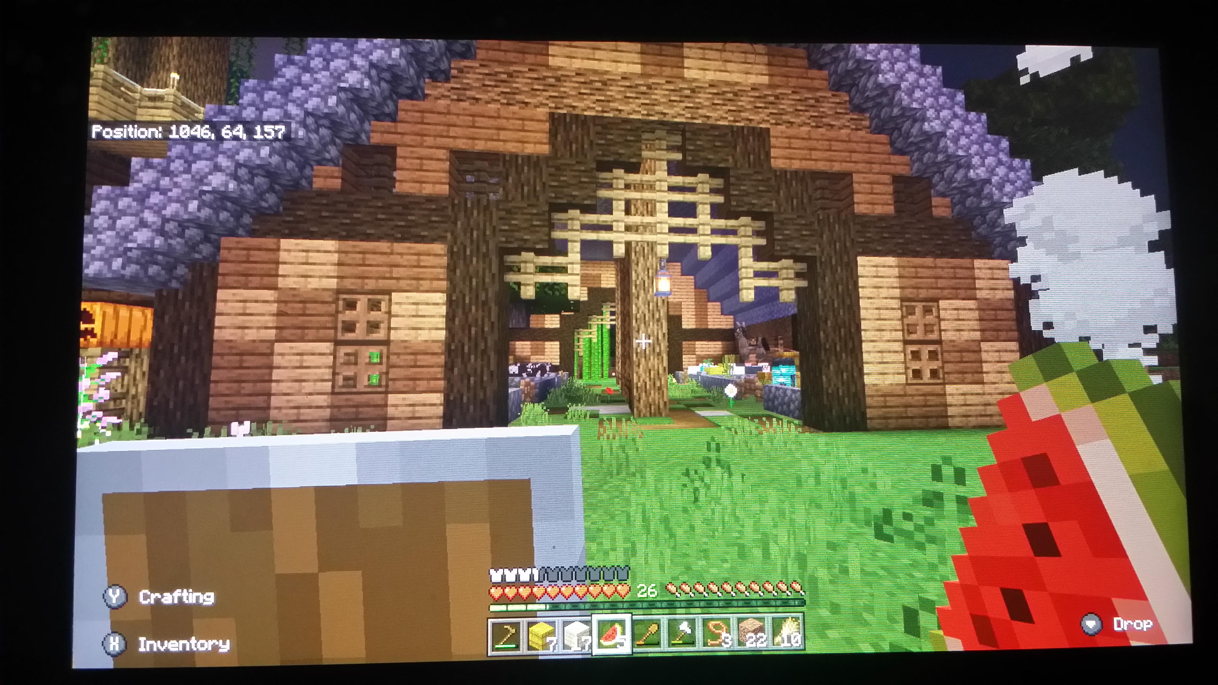 Unfortunately my minecraft horse died this morning so I spent all day