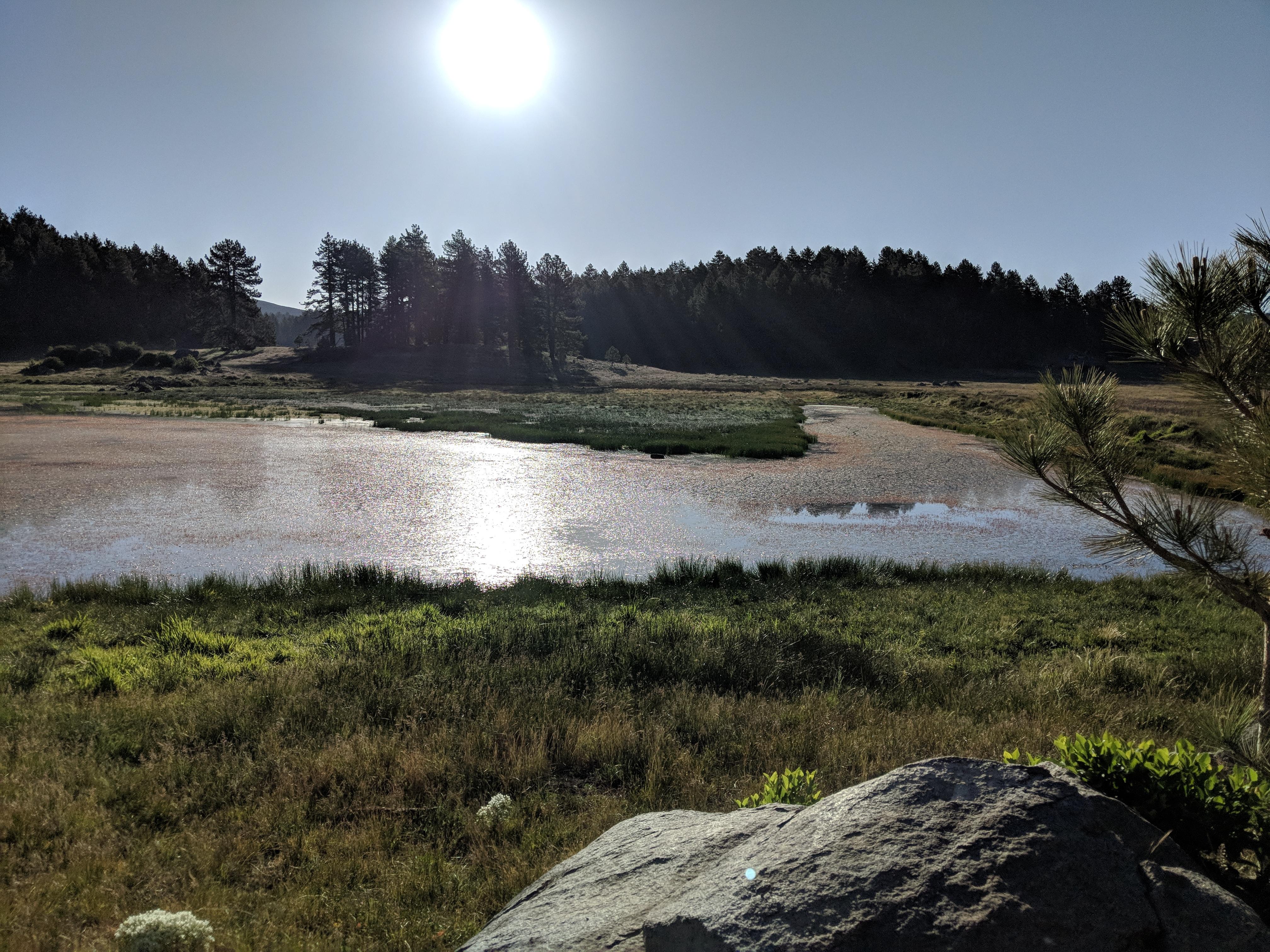 Mount Laguna is just a short drive away! r/sandiego