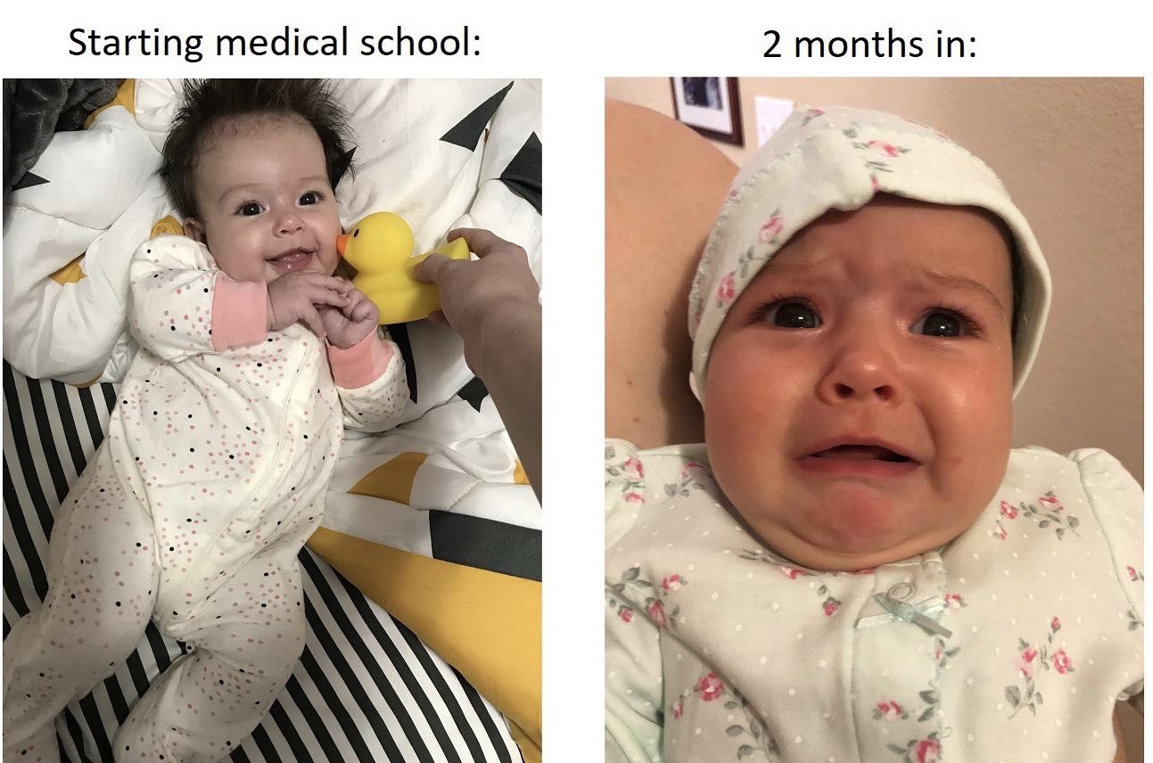 [Meme] I’m wearing pajamas while crying in front of a screen about things I barely understand. I