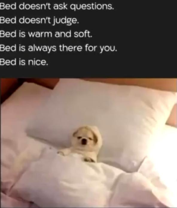 Bed is love r/NANIKPosting