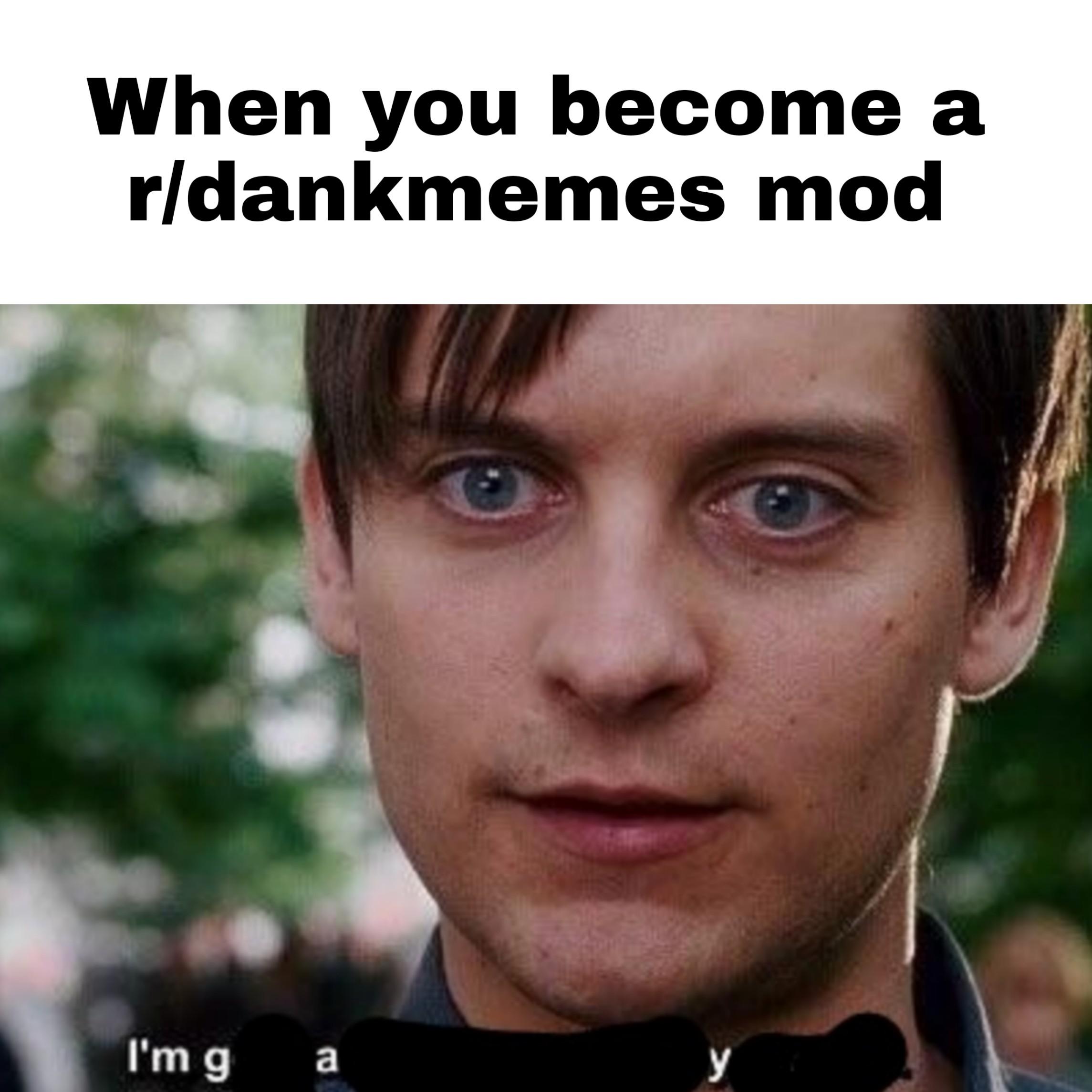 Spiderman is a gay mod dankmemes