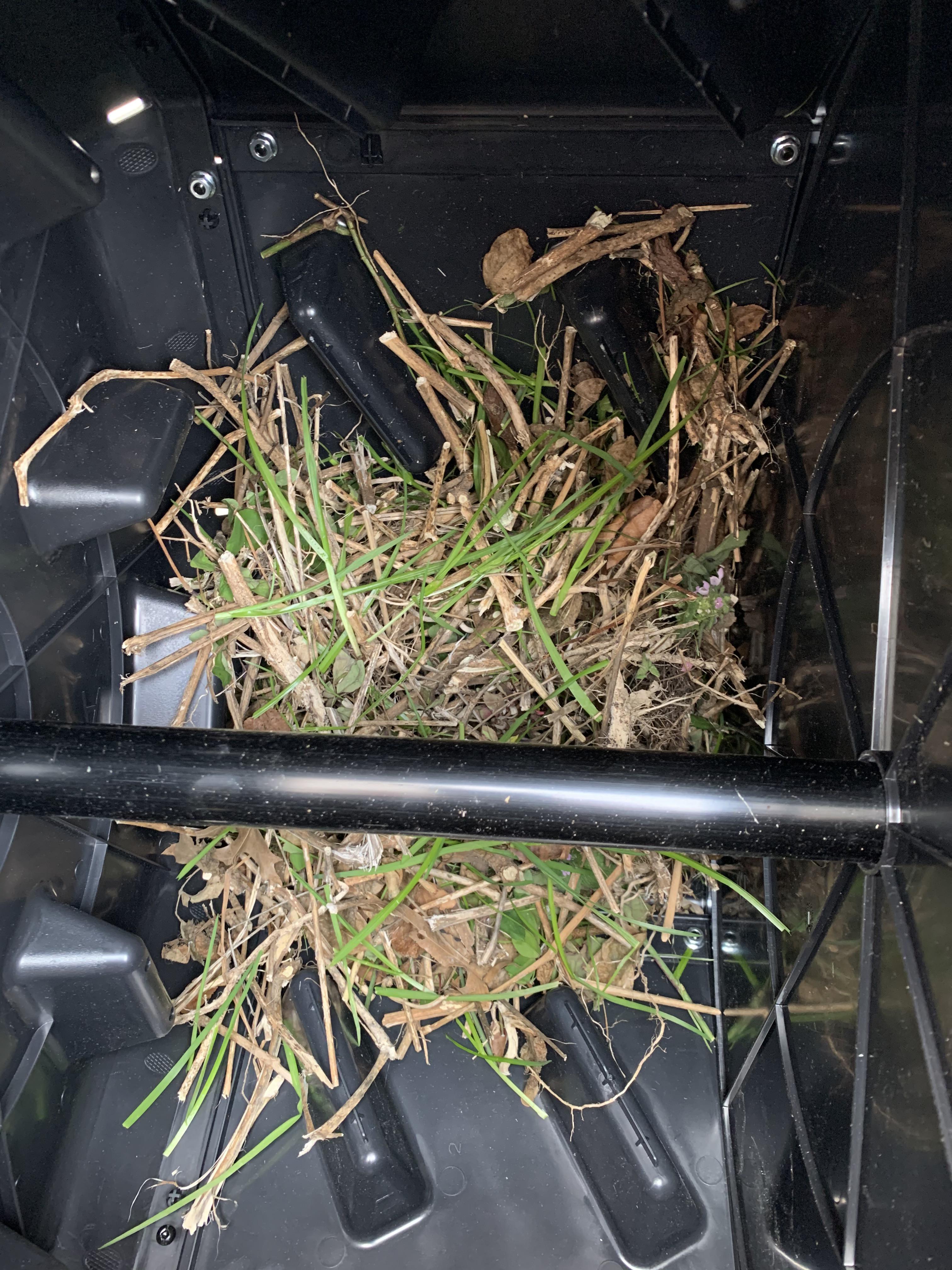 Composting in Brooklyn Day 1 How do my browns look? Mostly dried