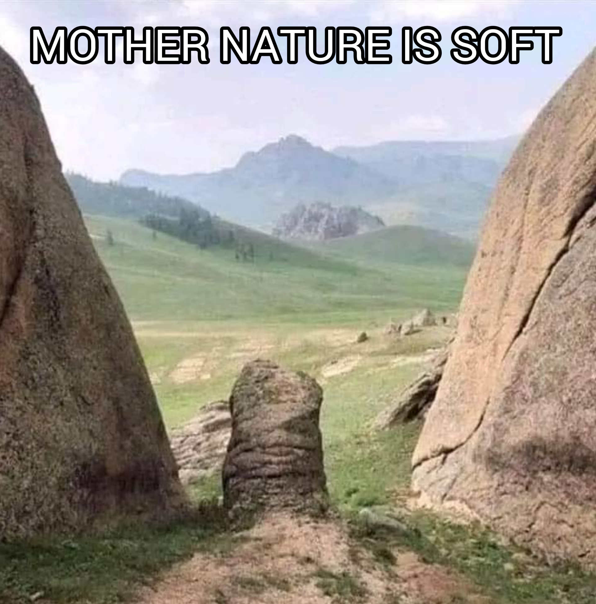 Nature... r/memes