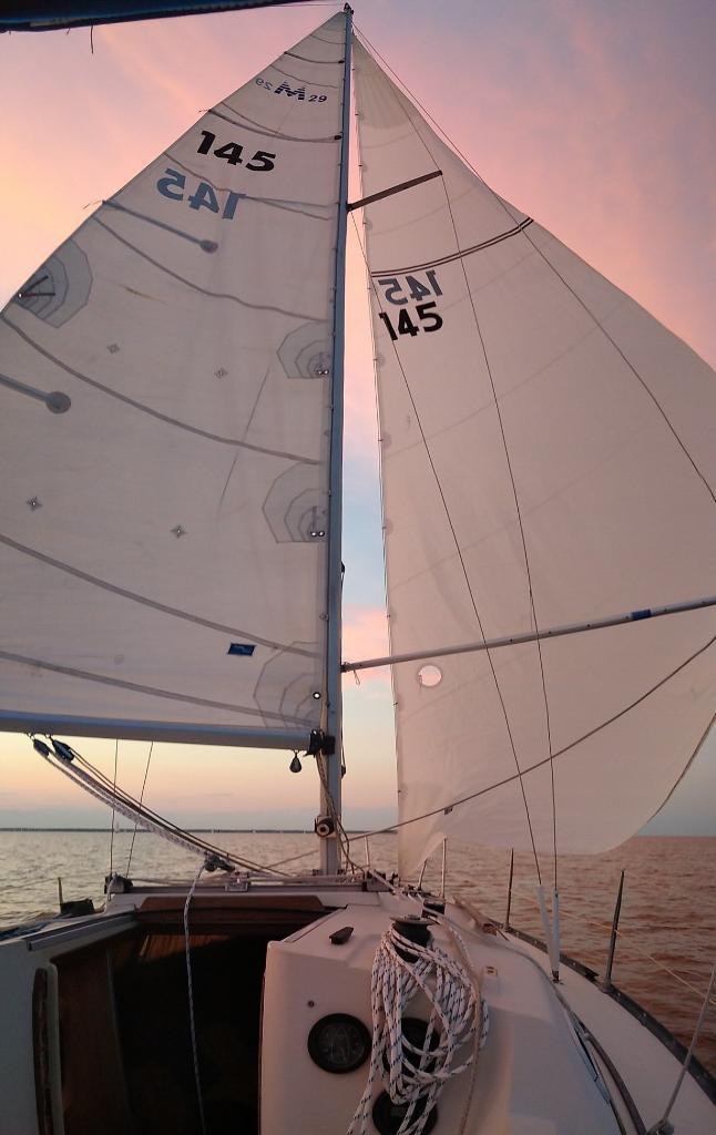 Wing on wing last nights race r/sailing