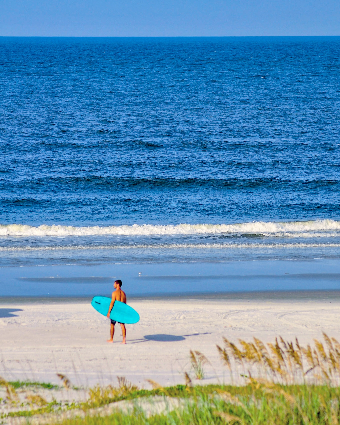 Shark Bite Capital. New Smyrna Beach r/florida