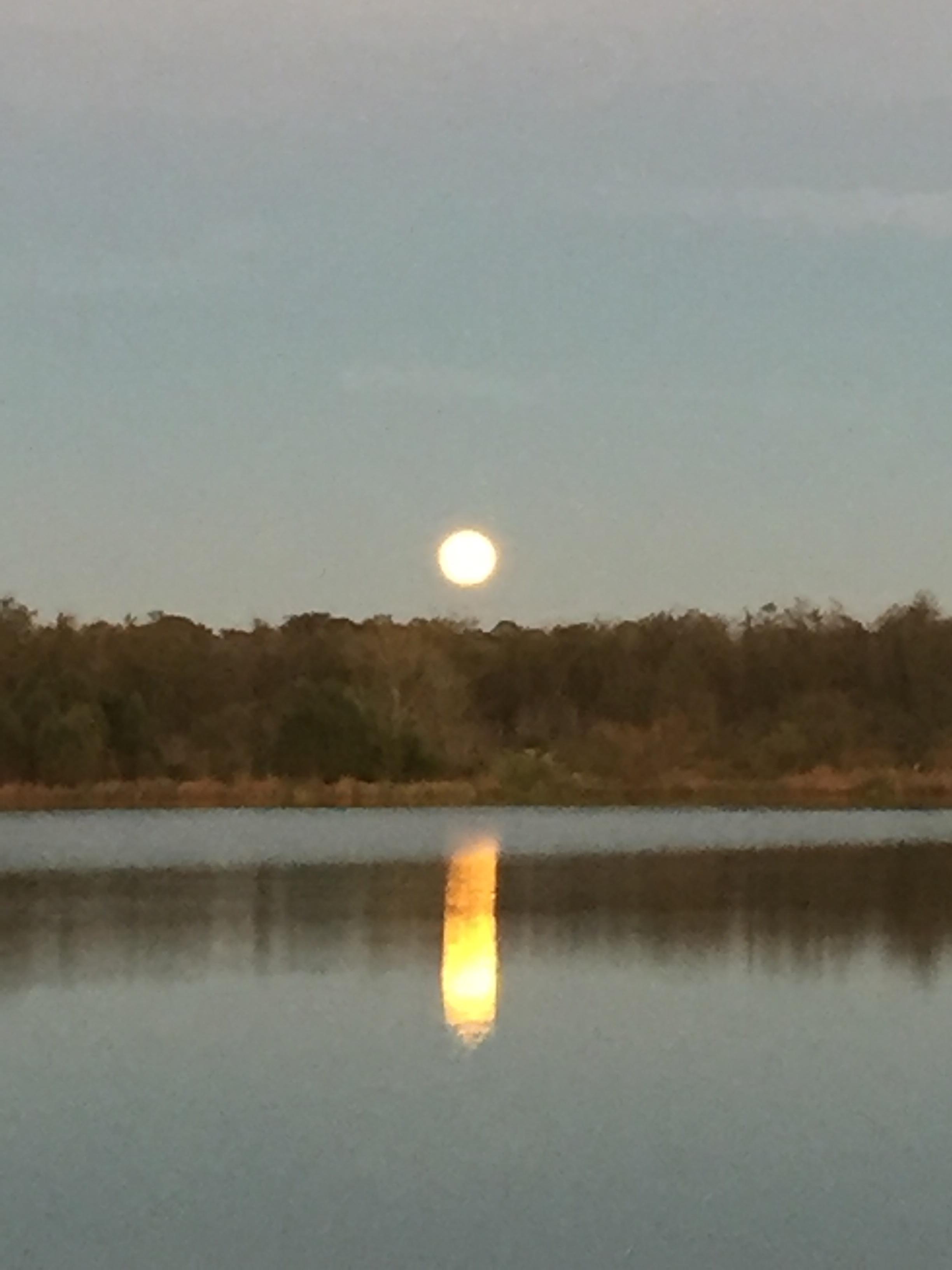 Bad Moon Rising Labadieville, LA r/Louisiana